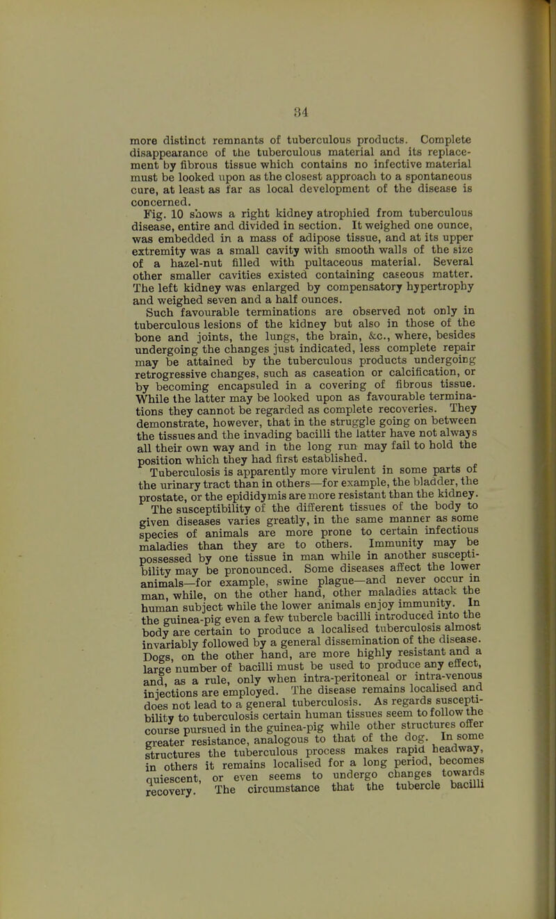 more distinct remnants of tuberculous products. Complete disappearance of the tuberculous material and its replace- ment by fibrous tissue which contains no infective material must be looked upon as the closest approach to a spontaneous cure, at least as far as local development of the disease is concerned. Fig. 10 shows a right kidney atrophied from tuberculous disease, entire and divided in section. It weighed one ounce, was embedded in a mass of adipose tissue, and at its upper extremity was a small cavity with smooth walls of the size of a hazel-nut filled with pultaceous material. Several other smaller cavities existed containing caseous matter. The left kidney was enlarged by compensatory hypertrophy and weighed seven and a half ounces. Such favourable terminations are observed not only in tuberculous lesions of the kidney but also in those of the bone and joints, the lungs, the brain, &c., where, besides undergoing the changes just indicated, less complete repair may be attained by the tuberculous products undergoing retrogressive changes, such as caseation or calcification, or by becoming encapsuled in a covering of fibrous tissue. While the latter may be looked upon as favourable termina- tions they cannot be regarded as complete recoveries. They demonstrate, however, that in the struggle going on between the tissues and the invading bacilli the latter have not alwajs all their own way and in the long run may fail to hold the position which they had first established. Tuberculosis is apparently more virulent in some parts of the urinary tract than in others—for example, the bladder, the prostate, or the epididymis are more resistant than the kidney. The susceptibility of the different tissues of the body to given diseases varies greatly, in the same manner as some species of animals are more prone to certain infectious maladies than they are to others. Immunity may be possessed by one tissue in man while in another suscepti- bility may be pronounced. Some diseases affect the lower animals—for example, swine plague—and never occur in man, while, on the other hand, other maladies attack the human subject while the lower animals enjoy immunity. In the guinea-pig even a few tubercle bacilli introduced into the body are certain to produce a localised tuberculosis almost invariably followed by a general dissemination of the disease. Dogs, on the other hand, are more highly resistant and a large number of bacilli must be used to produce any effect, and as a rule, only when intra-peritoneal or intra-venous inie'ctions are employed. The disease remains localised and does not lead to a general tuberculosis. As regards suscepti- bilitv to tuberculosis certain human tissues seem to follow the course pursued in the guinea-pig while other structures offer greater resistance, analogous to that of the dog. In some structures the tuberculous process makes rapid headway, in others it remains localised for a long period, becomes auiescent or even seems to undergo changes towards recovery ' The circumstance that the tubercle bacilli