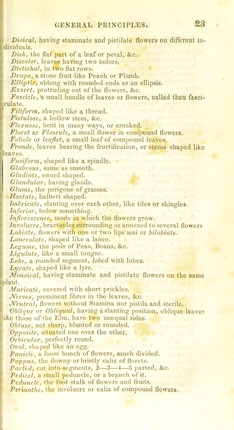 Dioical, having staminate and pistilate flowers on different in- dividuals. Disk, the flat part of a leaf or petal, &c.- Z>iscolo7; leaves having two colors. Distichal, in two flat rows. Drupe, a stone fruit like Peach or Plumb. Elliptic, oblong with rounded ends as an ellipsis. JExsert, protruding out of the flowers, &c. Fascicle, u small bundle of leaves or flowers, called then fasci- culate. Filiform, shaped like a thread. Fistulose, a hollow stem, &c. Flexuose, bent in many ways, or crooked. Floret ar Floscule, a small flower in compound flowers. Foliole or leaflet, a small leaf of compound leaves. Fronde, leaves bearing the fructification, or stems shaped like eaves. Fusiform, shaped like a spindle. Glabrous, same as smooth. Gladiate, sword shaped. Glandular, having glands. Glume, the perigone of gi'asses. -Hastate, halbert shaped. Imbricate, slanting over each other, like tiles or shingles. Inferior, below something. Inflorescence, mode in which the flowers grow. Involucre, bracteoles surroimding or annexed to several flowers Labiate, flowers with one or two lips uni ov bilabiate. Lanceolate, shaped like a lance. Legume, the pods of Peas, Beans, &c. Ligulate, like a small tongue. Lobe, a rounded segment, lobed with lobes. Lyrate, shaped like a lyre. Monoical, having staminate and pistilate flowers on the same )lant. Muricate, covered with short prickles. JVerves, prominent fibres in the leaves, &c. J^eutral, flowers without Stamina nor pistils and sterile. Oblique or Obliqual, having a slanting position, oblique leaves ike those of the Elm, have two unequal sides. Obtuse, not sharp, blunted or rounded. Opposite, situated one over the other. Orbicular, perfectly round. Oval, shaped like an egg. Panicle, a loose bunch of flowers, much divided. Pappus, the downy or bristly calix of florets. Parted, cut into segments, 2—3—4-^5 parted, &c. Pedicel, a small peduncle, or a branch of it. Peduncle, the foot stalk of flowers and fruits. Perianthe, the involucre or calix of compound flowers.