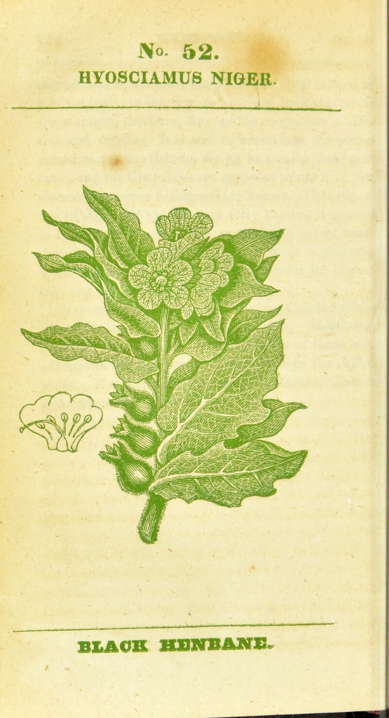 i\o. 52. HY0SCIAMU8 NIGER. I