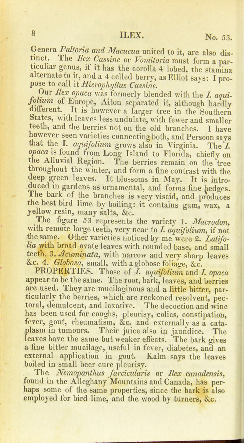 8 ILEX. No. 53. Genera Paltoria and Macucua united to it, are also dis- tinct. The Ilex Cassine or Vomitoria must form a par- ticuliar genus, if it has the corolla 4 lobed, the stamina alternate to it, and a 4 celled berry, as Elliot says: I pro- pose to call it Hierophyllus Cassine. Our Ilex opaca was formerly blended with the /. aqui- johum of Europe, Alton separated it, although hardly different. ^ It is however a larger tree in the Southern States, With leaves less undulate, with fewer and smaller teeth, and the berries not on the old branches. I have however seen varieties connecting both, and Persoon says that the I. aquifolium grows also in Virginia. The /. opaca IS found from Long Island to Florida, chiefly on the Alluvial Region. The berries remain on the tree throughout the winter, and form a fine contrast with the deep green leaves. It blossoms in May. It is intro- duced m gardens as ornamental, and forms fine hedges. The bark of the branches is very viscid, and produces the best bird lime by boiling: it contains gum, wax, a yellow resin, many salts, &c. The figure 53 represents the variety 1. Macrodon, with remote large teeth, very near to /. aquifolium, if not the same. Other varieties noticed by me were 2. Latifo- lia with broad ovate leaves with rounded base, and small teeth. 3. Acuminata, with narrow and very sharp leaves &c. 4. Globosa, small, with a globose foliage, &c. PROPERTIES. Those of /. aquifolium and /. opaca appear to be the same. The root, bark, leaves, and berries are used. They are mucilaginous and a little bitter, par- ticularly the berries, which are reckoned resolvent, pec- toral, demulcent, and laxative. The decoction and wine has been used for coughs, pleurisy, colics, constipation, fever, gout, rheumatism, &c. and externally as a cata- plasm in tumours. Their juice also in jaundice. The leaves have the same but weaker effects. The bark gives a fine bitter mucilage, useful in fever, diabetes, and an external application in gout. Kalm says the leaves boiled in small beer cure pleurisy. The Nemopanthus farcicidaris or Ilex canadensis, found in the Alleghany Mountains and Canada, has per- haps some of the same properties, since the bark is also employed for bird lime, and the wood by turners, &.c.