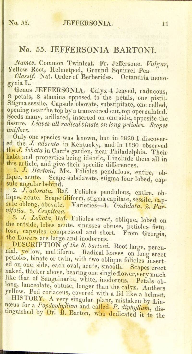 No. 53. JEFFERSONIA BARTONI. Names. Common Twinleaf. Fr. Jeffersone. Vulgar, Yellow Root, Helmetpod, Ground Squirrel Pea Classif. Nat. Order of Berberides. Octandria mono- gynia L. Genus JEFFERSONIA. Calyx 4 leaved, caducous, 8 petals, 8 stamina opposed to the petals, one pistil. Stigma sessile. Capsule obovate, substipitate, one celled, opening near the top by a transversal cut, top operculated. Seeds many, arillated, inserted on one side, opposite the fissure. Leaves all radical binate on long petioles. Scapes uniflore. Only one species was known, but in 1820 I discover- ed the J. adorata in Kentucky, and in 1830 observed they, hhata inCarr's garden, near Philadelphia. Their habit and properties being identic, I include them all in this article, and give their specific differences. 1. /. Bartoni, Mx. Folioles pendulous, entire, ob- lique, acute. Scape subclavate, stigma four lobed, cap- sule angular behind. 2. J. adorata, Raf. Folioles pendulous, entire, ob- lique, acute. Scape filiform, stigma capitate, sessile, cap- sule oblong, obovate. Varieties—l. Undulata. 2. Par- vifolia. 3. Cespitosa. 3. J. Lohata, Raf. Folioles erect, oblique, lobed on the outside, lobes acute, sinusses obtuse, petioles fistu- lose, capsules compressed and short. From Georgia the flowers are large and inodorous. ' DESCRIPTION of the S. hartoni. Root large, peren- nial, yellow, multiform. Radical leaves on long erect petioles, binate or twin, with two oblique folicles insert- ed on one side, each oval, acute, smooth. Scapes erect naked thicker above, bearing one single flower,very much like that ot Sanguinaria, white, inodorous. Petals ob- long, lanceolate, obtuse, longer than the calyx. Anthers HTc'^Soi'^''^''''^^'' •'^'^'''^ ^ If^e a helmet. niblORY. A very singular plant, mistaken by Lin- naus for a Popdophyllum and called P. diphyllum, dis- tinguished by Dr. B. Barton, who dedicated it to the