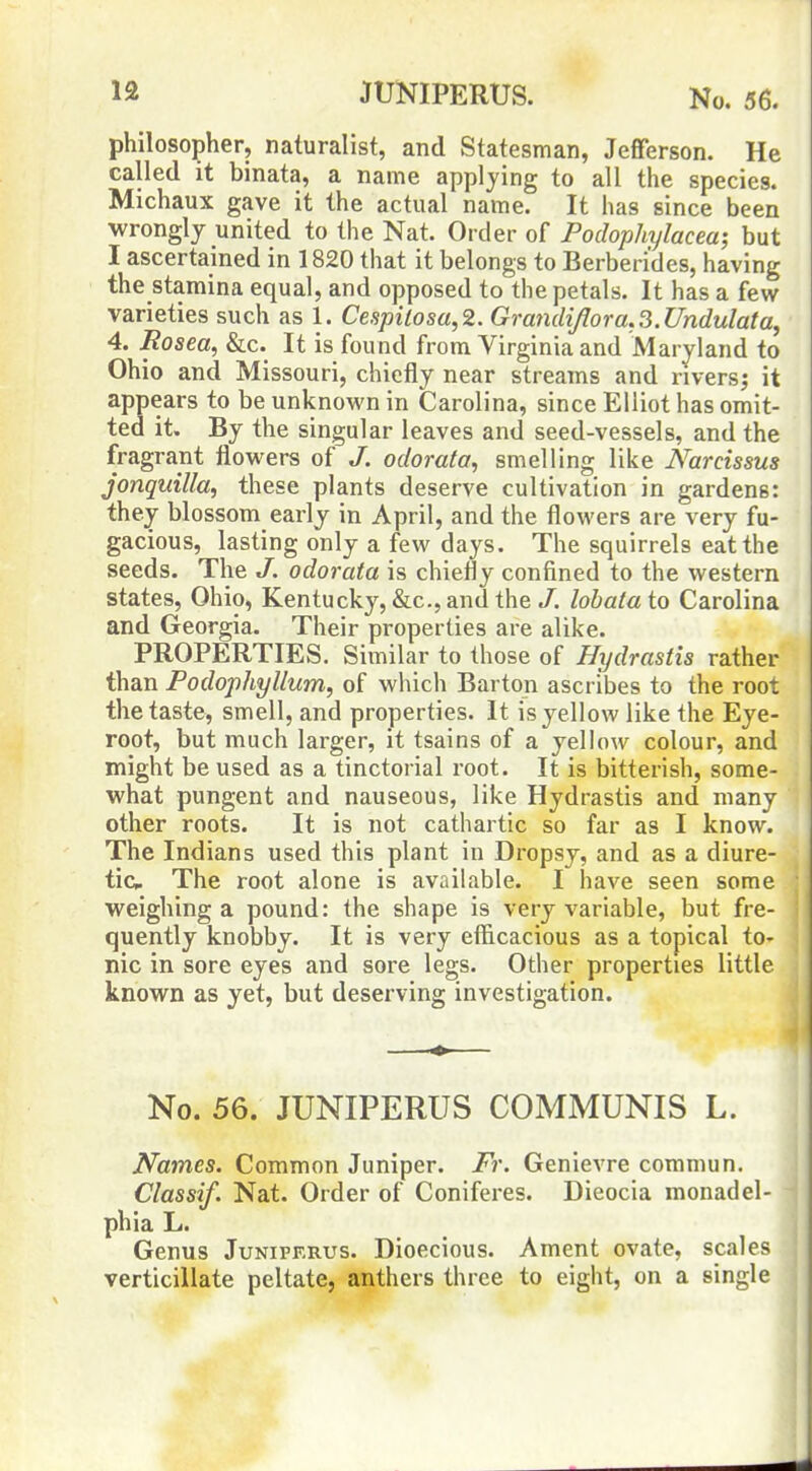 philosopher, naturalist, and Statesman, Jefferson. He called it binata, a name applying to all the species. Michaux gave it the actual name. It has since been wrongly united to the Nat. Order of Podophylacew, but I ascertained in 1820 that it belongs to Berberi'des, having the stamina equal, and opposed to the petals. It has a few varieties such as 1. Cespilosa,2. Gra7idi/Iora.3.Undulata, 4. Rosea, &c. It is found from Virginia and Maryland to Ohio and Missouri, chiefly near streams and rivers^ it appears to be unknown in Carolina, since Elliot has omit- ted it. By the singular leaves and seed-vessels, and the fragrant flowers of J. odorato, smelling like Narcissus jonquilla, these plants deserve cultivation in gardens: they blossom early in April, and the flowers are very fu- gacious, lasting only a few days. The squirrels eat the seeds. The J. odorata is chiefly confined to the western states, Ohio, Kentucky, &c., and the/. lobataio Carolina and Georgia. Their properties are alike. PROPERTIES. Similar to those of Hydrastis rather than Podophyllum, of which Barton ascribes to the root the taste, smell, and properties. It is yellow like the Eye- root, but much larger, it tsains of a yellow colour, and might be used as a tinctorial root. It is bitterish, some- what pungent and nauseous, like Hydrastis and many other roots. It is not cathartic so far as I know. The Indians used this plant in Dropsy, and as a diure- tic The root alone is available. I have seen some weighing a pound: the shape is very variable, but fre- quently knobby. It is very efficacious as a topical to- nic in sore eyes and sore legs. Other properties little known as yet, but deserving investigation. No. 56. JUNIPERUS COMMUNIS L. Names. Common Juniper. Fr. Genievre coramun. Classif. Nat. Order of Coniferes. Dieocia monadel- phia L. Genus Junifkrus. Dioecious. Ament ovate, scales verticillate peltate, anthers three to eight, on a single