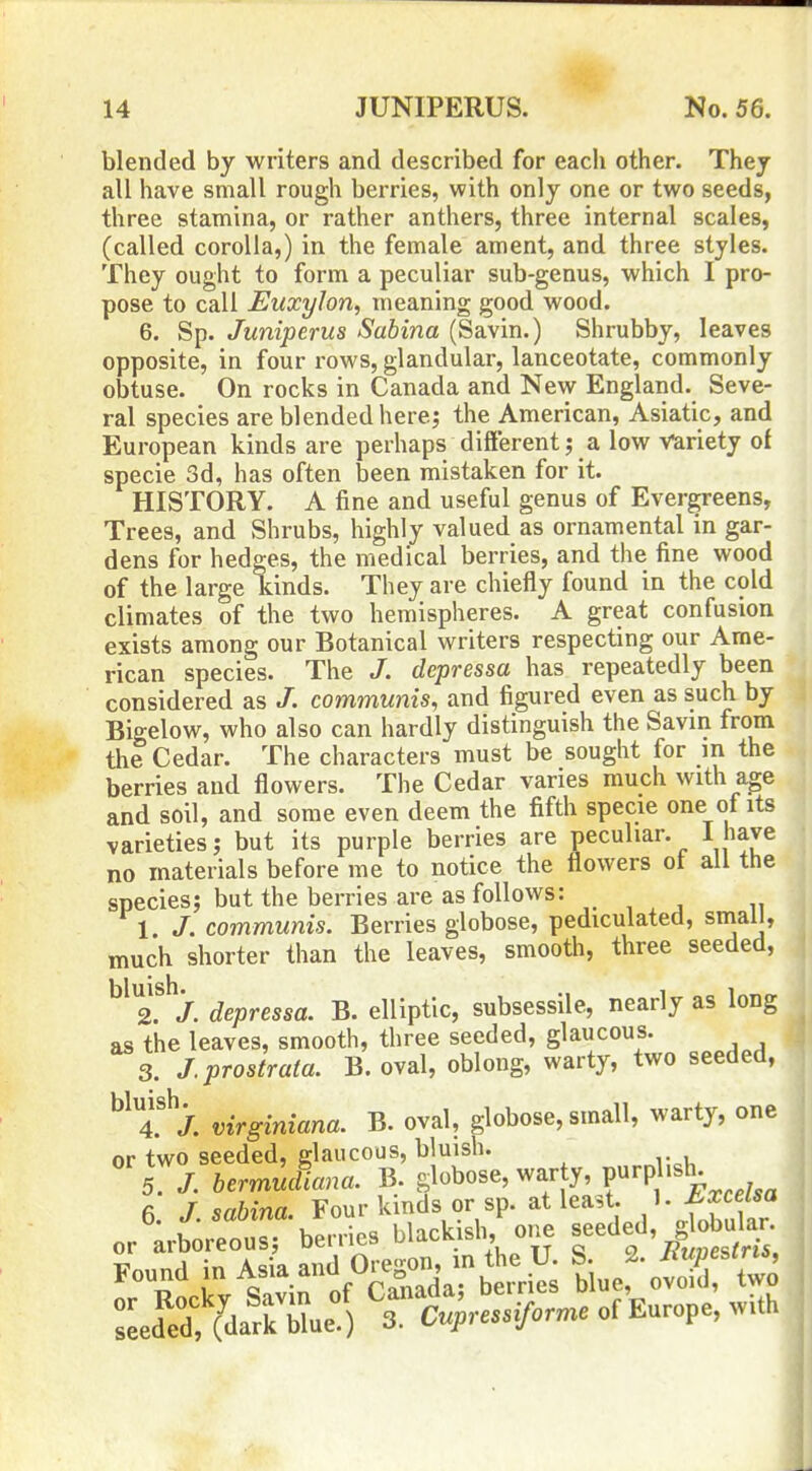 blended by writers and described for eacli other. They all have small rough berries, with only one or two seeds, three stamina, or rather anthers, three internal scales, (called corolla,) in the female ament, and three styles. They ought to form a peculiar sub-genus, which I pro- pose to call EuxyJon, meaning good wood. 6. Sp. Juniperus Sabina (Savin.) Shrubby, leaves opposite, in four rows, glandular, lanceotate, commonly obtuse. On rocks in Canada and New England. Seve- ral species are blended here; the American, Asiatic, and European kinds are perhaps different; a low variety of specie 3d, has often been mistaken for it. HISTORY. A fine and useful genus of Evergreens, Trees, and Shrubs, highly valued as ornamental in gar- dens for hedges, the medical berries, and the fine wood of the large kinds. They are chiefly found in the cold climates of the two hemispheres. A great confusion exists among our Botanical writers respecting our Ame- rican species. The J. depressa has repeatedly been considered as /. communis, and figured even as such by Bigelow, who also can hardly distinguish the Savin from the Cedar. The characters must be sought for m the berries and flowers. The Cedar varies much with age and soil, and some even deem the fifth specie one ot its varieties; but its purple berries are peculiar. I have no materials before me to notice the flowers ot ail the species; but the berries are as follows: 1. J. communis. Berries globose, pediculated, small, much shorter than the leaves, smooth, three seeded, ^^^2^\ depressa. B. elliptic, subsessile, nearly as long as the leaves, smooth, three seeded, glaucous. 3. J.prostrata. B. oval, oblong, warty, two seeded, ^'^T/. virginiana. B. oval, globose, small, warty, one or two seeded, glaucous, bluish. 5. /. bermudiana. B. globose, warty, f^P ^ 6. J.sahina. Four Idnds or sp. at least. K^x^^^^^^^ or arboreous; berries blackish, one ^^eded, globular :Lded, (fflue ) 3. C.p-e...>me of Europe, with