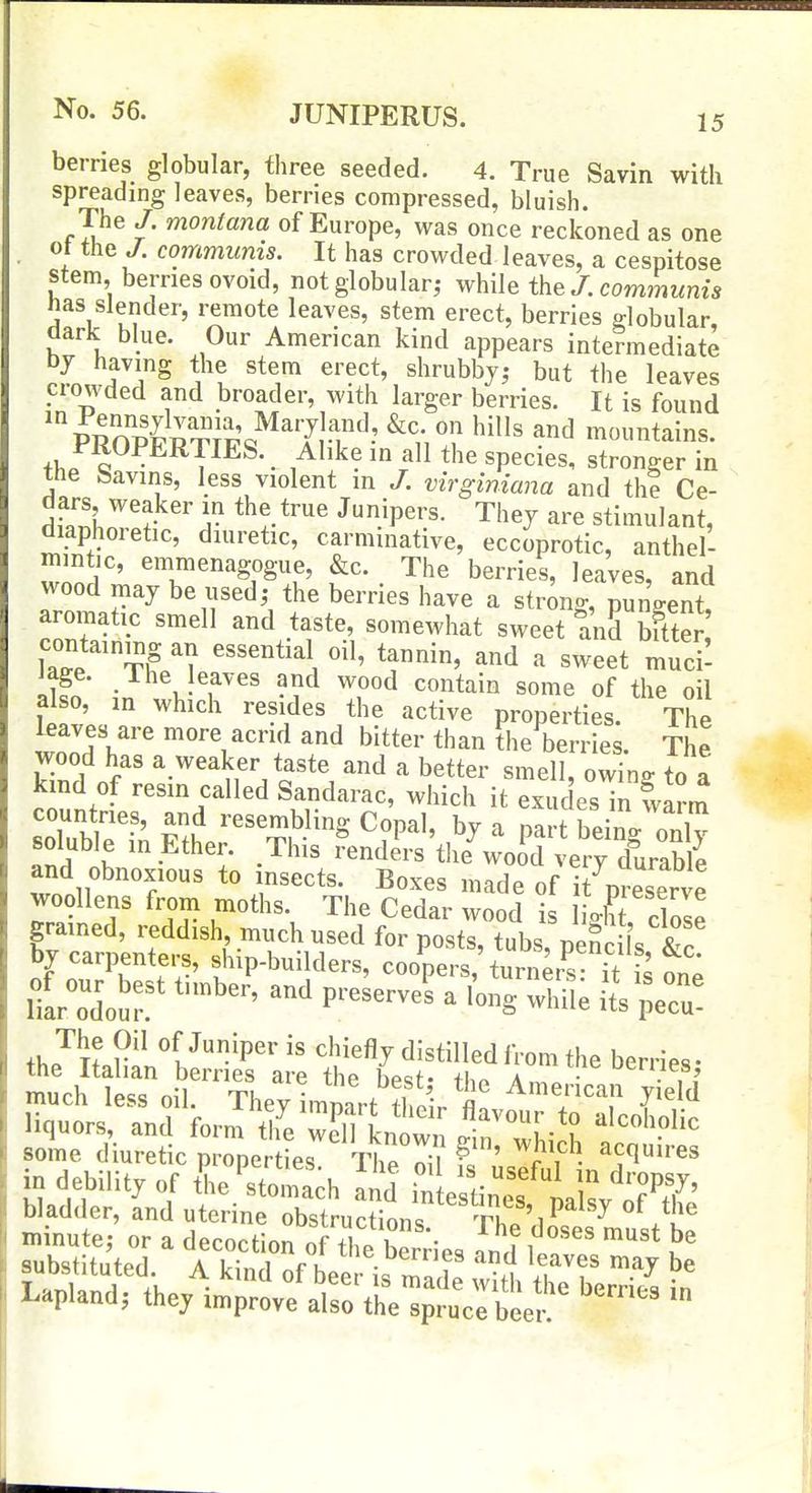 15 berries globular, three seeded. 4. True Savin with spreading leaves, berries compressed, bluish. The J. montana of Europe, was once reckoned as one ot the J. communis. It has crowded leaves, a cespitose stem, berries ovoid, not globular,- while the/, commwm* ftas slender, remote leaves, stem erect, berries globular, aark blue. Our American kind appears intermediate bj having the stem erect, shrubby^ but the leaves ciowded and broader, with larger berries. It is found ' PRnp&'i^'o^^7l-r'^.' mountains. PROPERTIES. _ Alike in all the species, stronger in ttie bavins, less violent m virginiana and the Ce- dars weaker in the true Junipers. Thej are stimulant, diaphoretic, diuretic, carminative, eccoprotic, anthel- mmtic, emmenagogue, &c. The berries, leaves, and wood may be used,- the berries have a stron-, nunVent aromatic smell and taste, somewhat sweet and Er,' containing an essential oil, tannin, and a sweet muci: ilfn .-^^^l^f^es and wood contain some of the oil also, m which resides the active properties The leaves are more acrid and bitter than the berries. The wood has a weaker taste and a better smell owing to a kind of resin called Sandarac, which it exuc esTfva™ countries, and resembling Copal, by a part beinVonlv soluble m other. This Jend^rs^he^woid very d^abli and obnoxious to insects. Boxes made of itVeserve woollens from moths The Cedar wood is ligS, dole Tc /entrf C^^^^^^ ^^^s, peSc!ls,t uy carpenteis, sliip-builders, coopers, turners- if \l on^ lt„o'' ^ P™^^- ^ 'Me its pe! much less oil. They iimart tWi. fl= mmnte; or a decoction of the ^L.T J'