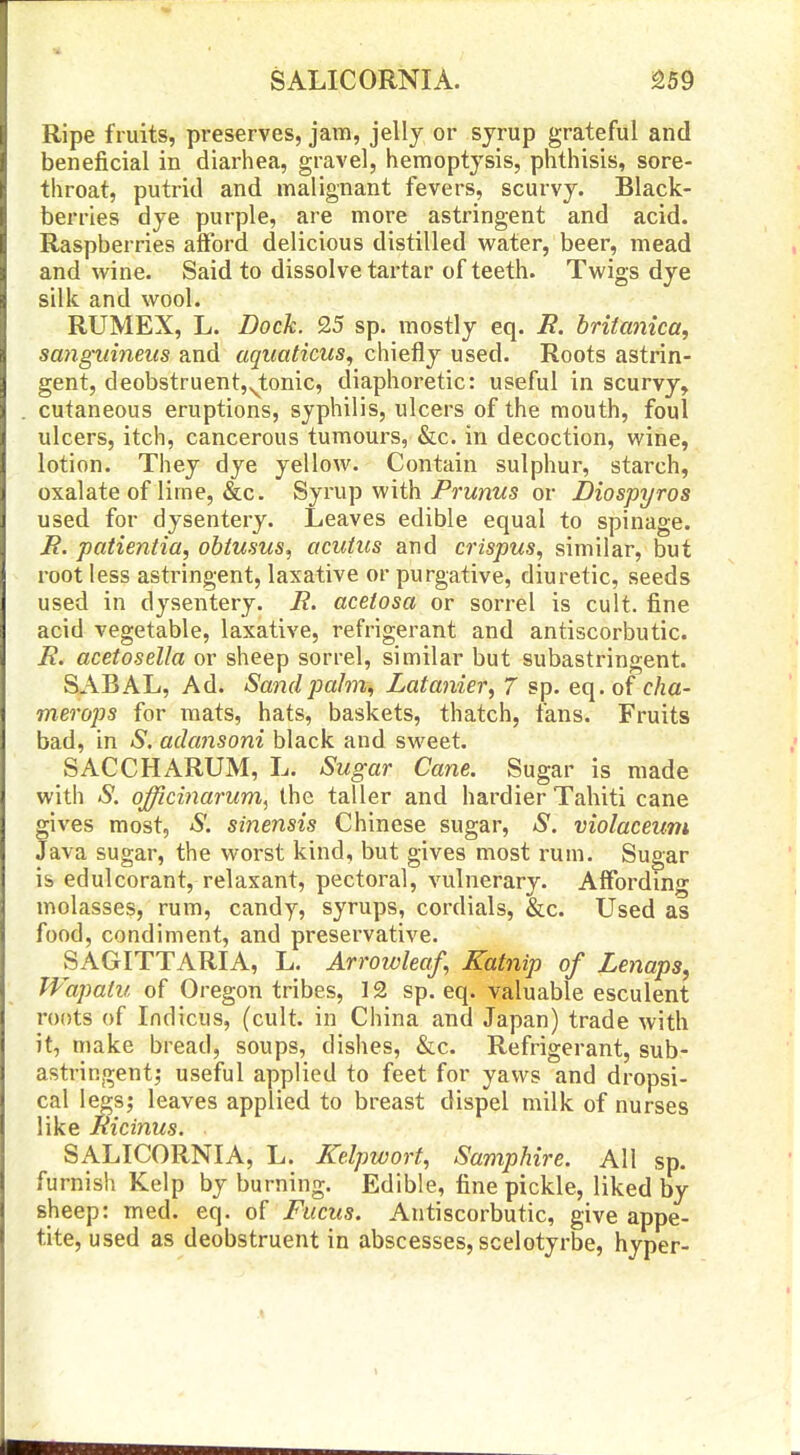 Ripe fruits, preserves, jam, jelly or syrup grateful and beneficial in diarhea, gravel, hemoptysis, phthisis, sore- throat, putrid and malignant fevers, scurvy. Black- berries dye purple, are more astringent and acid. Raspberries afford delicious distilled water, beer, mead and wine. Said to dissolve tai'tar of teeth. Twigs dye silk and wool. RUMEX, L. Dock. 25 sp. mostly eq. R. brifanica, sanguineus and aqiiaticus, chiefly used. Roots astrin- gent, deobstruent,^tonic, diaphoretic: useful in scurvy, cutaneous eruptions, syphilis, ulcers of the mouth, foul ulcers, itch, cancerous tumours, &c. in decoction, wine, lotion. They dye yellow. Contain sulphur, starch, oxalate of lime, &c. Syrup with Prwnws or Diospyros used for dysentery. Leaves edible equal to spinage. E. patientia, obiusus, acutics and crispus, similar, but root less astringent, laxative or purgative, diuretic, seeds used in dysentery. E. acelosa or sorrel is cult, fine acid vegetable, laxative, refrigerant and antiscorbutic. E. acetosella or sheep sorrel, similar but subastringent. SABAL, Ad. Sand palm, Latanier, 7 sp. eq.of f/m- merops for mats, hats, baskets, thatch, fans. Fruits bad, in S. adansoni black and sweet. SACCHARUM, L. Sugar Cane. Sugar is made with S. officinarum^ the taller and hardier Tahiti cane gives most, 'S'. sinensis Chinese sugar, S. violaceum Java sugar, the worst kind, but gives most rum. Sugar is edulcorant, relaxant, pectoral, vulnerary. Affording molasses, rum, candy, syrups, cordials, &c. Used as food, condiment, and preservative. SAGITTARIA, L. Arrowleaf, Katnip of Lenaps, Wapatu of Oregon tribes, 12 sp. eq. valuable esculent roots of Indicus, (cult, in China and Japan) trade with it, make bread, soups, dishes, &c. Refrigerant, sub- astringent^ useful applied to feet for yaws and dropsi- cal lees; leaves applied to breast dispel milk of nurses like Jkicinus. SALICORNIA, L. Kelpwort, Samphire. All sp. furnish Kelp by burning. Edible, fine pickle, liked by sheep: med. eq. of Fucus. Antiscorbutic, give appe- tite, used as deobstruent in abscesses, seelotyrbe, hyper-