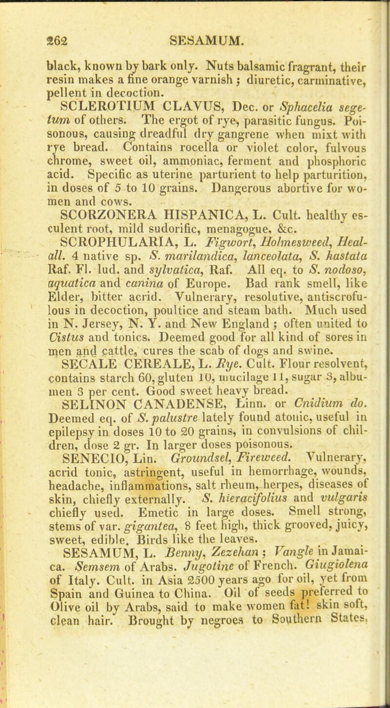 black, known by bark only. Nuts balsamic fragrant, their resin makes a fine orange varnish j diuretic, carminative, pellent in decoction. SCLEROTIUM CLAVUS, Dec. or Sphacelia sege- tum of others. The ergot of rye, parasitic fungus. Poi- sonous, causing dreadful dry gangrene when mixt with rye bi-ead. Contains rocella or violet color, fulvous chrome, sweet oil, ammoniac, ferment and phosphoric acid. Specific as uterine parturient to help parturition, in doses of 5 to 10 grains. Dangerous abortive for wo- men and cows. SCORZONERA HISPANICA, L. Cult, healthy es- culent root, mild sudorific, menagogue, &c. SCROPHULARIA, L. Figwort, Holmesweed, Heal- all. 4 native sp. S. marilandica, lanceolata, S. hastata Raf. Fl. lud. and sylvatica, Raf. All eq. to S. nodosa, aquatica and canina of Europe. Bad rank smell, like Elder, bitter acrid. Vulnerary, resolutive, antiscrofu- lous in decoction, poultice and steam bath. Much used in N. Jersey, N. Y. and New England ; often united to Cistus and tonics. Deemed good for all kind of sores in men and cattle, cures the scab of dogs and swine. SECALE CERE ALE, L. Hye. Cult. Flour resolvent, contains starch 60, gluten 10, mucilage 11, sugar 3, albu- men 3 per cent. Good sweet heavy bread. SELINON CANADENSE, Linn, or Cnidium do. Deemed eq. of S. palustre lately found atonic, useful in epilepsy in doses 10 to 20 grains, in convulsions of chil- dren, dose 2 gr. In larger doses poisonous. SENECIO, Lin. Groundsel, Fireweed. Vulnerary, acrid tonic, astringent, useful in hemorrhage, wounds, headache, inflammations, salt rheum, herpes, diseases of skin, chiefly externally. S. hieracifolius and vulgaris chiefly used. Emetic in large doses. Smell strong, stems of var. gigantea, 8 feet high, thick grooved, juicy, sweet, edible. Birds like the leaves. SESAMUM, L. Benny, Zezehan; Fa^g-Ze in Jamai- ca. Semsem of Arabs. Jugotme of French. Giiigiolena of Italy. Cult, in Asia 2500 years ago for oil, yet from Spain and Guinea to China. Oil of seeds preferred to Olive oil by Arabs, said to make women fat! skin soft, clean hair. Brought by negroes to Southern States,