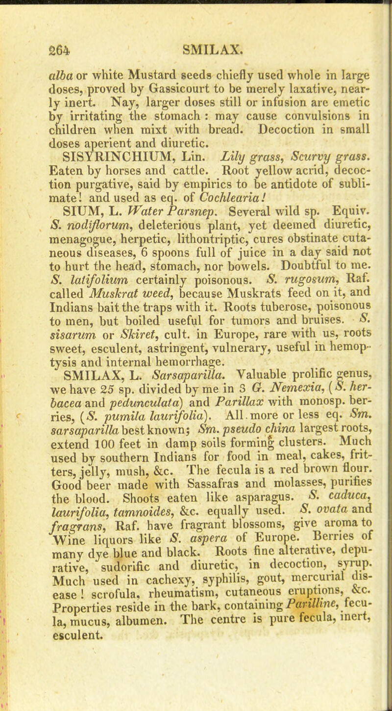alba or white Mustard seeds chiefly used whole in large doses, proved by Gassicourt to be merely laxative, near- ly inert. Nay, larger doses still or infusion are emetic by irritating the stomach : may cause convulsions in children when mixt with bread. Decoction in small doses aperient and diuretic. SISYRINCHIUM, Lin. Lily grass, Scurvy grass. Eaten by horses and cattle. Root yellow acrid, decoc- tion purgative, said by empirics to be antidote of subli- mate! and used as eq. of Cochlearia ! SIUM, L. Water Parsnep. Several wild sp. Equiv. S. nodijlorum, deleterious plant, yet deemed diuretic, menagogue, herpetic, lithontriptic, cures obstinate cuta- neous diseases, 6 spoons full of juice in a day said not to hurt the head, stomach, nor bowels. Doubtful to me. -S*. latifolium certainly poisonous. 'S'. rugosum, Raf. called Muskrat weed, because Muskrats feed on it, and Indians bait the traps with it. Roots tuberose, |)oisonous to men, but boiled useful for tumors and bruises. S. sisarum or Skiret, cult, in Europe, rare with us, roots sweet, esculent, astringent, vulnerary, useful in hemop- tysis and internal hemorrhage. SMILAX, L. Sarsaparilla. Valuable prolific genus, we have 25 sp. divided by me in 3 G. Nemexia, (S. her- bacea and pedunculata) and Parillax with monosp. ber- ries, {S. pumila laurifolia). All. more or less eq. Sm. sarsaparilla best known; Sm. pseudo china largest roots, extend 100 feet in damp soils formin| clusters. Much used by southern Indians for food in meal, cakes, frit- ters, jelly, mush, &c. The fecula is a red brown flour. Good beer made with Sassafras and molasses, purifies the blood. Shoots eaten like asparagus. S. caduca, laurifolia, tamnoides, &c. equally used. S. ovata and fragrans, Raf. have fragrant blossoms, give aroma to Wine liquors like -S*. aspera of Europe. Berries of many dye blue and black. Roots fine alterative, depu- rative, sudorific and diuretic, in decoction, syrup. Much used in cachexy, syphilis, gout, mercurial dis- ease ! scrofula, rheumatism, cutaneous eruptions, &c. Properties reside in the bark, containing Pan//Je, tecu- la, mucus, albumen. The centre is pure fecula, inert, esculent.