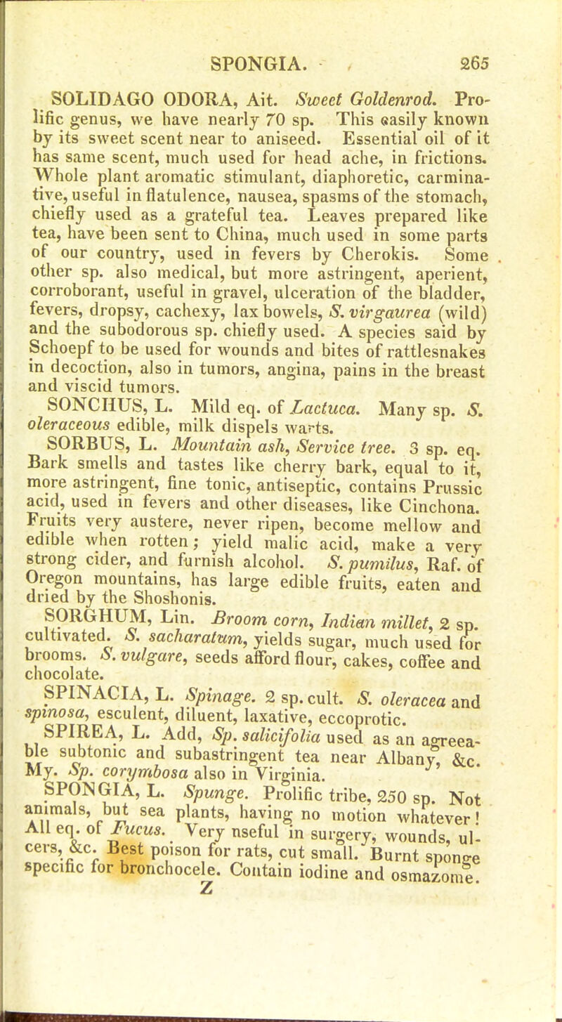 SOLIDAGO ODORA, Ait. Sweet Goldenrod. Pro- lific genus, we have nearly 70 sp. This easily known by its sweet scent near to aniseed. Essential oil of it has same scent, much used for head ache, in frictions. Whole plant aromatic stimulant, diaphoretic, carmina- tive, useful in flatulence, nausea, spasms of the stomach, chiefly used as a grateful tea. Leaves prepared like tea, have been sent to China, much used in some parts of our country, used in fevers by Cherokis. Some other sp. also medical, but more astringent, aperient, corroborant, useful in gravel, ulceration of the bladder, fevers, dropsy, cachexy, lax bowels, S,virgaurea (wild) and the subodorous sp. chiefly used. A species said by Schoepf to be used for wounds and bites of rattlesnakes in decoction, also in tumors, angina, pains in the breast and viscid tumors. SONCHUS, L. Mild eq. of Lactuca. Many sp. S. oleraceous edible, milk dispels warts. SORBUS, L. Mountain ash, Service tree. 3 sp. eq. Bark smells and tastes like cherry bark, equal to it, more astringent, fine tonic, antiseptic, contains Prussic acid, used m fevers and other diseases, like Cinchona. Fruits very austere, never ripen, become mellow and edible when rotten; yield malic acid, make a very strong cider, and furnish alcohol. S.pumilus, Raf. 6f Oregon mountains, has large edible fruits, eaten and dried by the Shoshonis. SORGHUM, Lin. Broom corn, Indian millet, 2 sp. cultivated. S. sacharatum, yields sugar, much used for brooms. ^S-. vulgare, seeds afford flour, cakes, coffee and chocolate. SPINACIA, L. Spinage. 2 sp. cult. S. oleracea and spmosa, esculent, diluent, laxative, eccoprotic. SPIRE A, L. Add, Sp. salicifolia used as an agreea- ble subtonic and subastringent tea near Albany, &c My. Sp. corymbosa also in Virginia. SPONGIA, L. Spunge. Prolific tribe, 250 sp. Not animals, but sea plants, having no motion whatever' All eq. o^Fucus. Very useful in surgery, wounds, ul- cers, &c. Best poison for rats, cut small. Burnt sponee specific for bronchocele. Contain iodine and osmazome. Z
