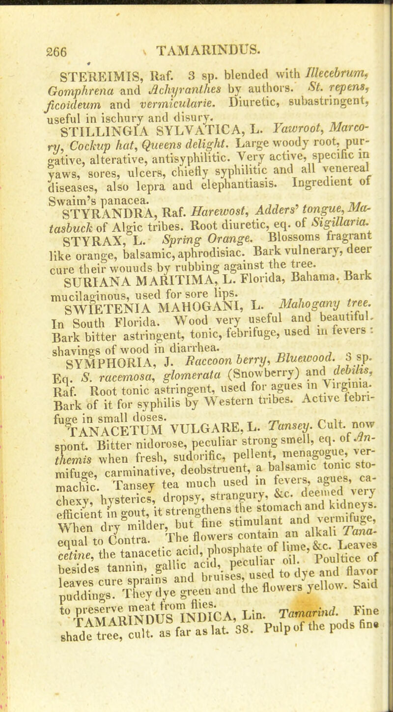 STEREIMIS, Raf. 3 sp. blended with Illecebrumf Gomphrena and Jichyranlhes by authors. St. repenSj ficoideum and vermicularie. Diuretic, subastringent, useful in ischury and disury. STILLINGIA SYLVATICA, L. Yawroot, Marco- ry, CocJmp hat. Queens delight. Large woody root, pur- Kative, alterative, antisyphilitic. Very active, specific in yaws, sores, ulcers, chiefly syphilitic and all venereal diseases, also lepra and elephantiasis. Ingredient of Swaim's panacea. „ 71^,, STYRANDRA, Raf. Harewost, Adders' tongue, Ma- tasbuck of Algic tribes. Root diuretic, eq. of Sigillana. STY RAX, L. Spring Orange. Blossoms fragrant like orange, balsamic, aphrodisiac. Bark vulnerary, deer cure their wouuds by rubbing against the tree. SURIANA MARITIMA, L. Florida, Bahama. Bark mucilaginous, used for sore lips. SWIETENIA MAHOGANI, L. Mahogany tree. In South Florida. Wood very useful and beautiful. Bark bitter astringent, tonic, febrifuge, used lu levers : shavings of wood in diarrhea. ^ SYMPHORIA, J. Baccoon berry, Blueivood. ^ sp. Eq. S. racemosa, glomerata (Snowberry) ^i^A debihs, Rif. Root tonic astringent, used for agues in \irginia. Bark of it for syphilis by Western tnbes. Active febn- ^^t'anTcETUm'VULGARE,L. Tansey Cult, now snont. Bitter nidorose, peculiar strong smell, eq. ot .^n- C when fresh, sudorific, ^^^''^l^Tni'c Z mifuge, carminative, deobstruen , a balsamic tonic sto machic. Tansey tea much used in f^^^'^Jg^^^V^^; rhexv hysterics, dropsy, strangury, &c. deemed >ery eS'nt in gout, it strengthens the stomach and kidneys. taSeti^^id p^^^ besides tannin, gallic acid, pecu^ ^^^^^ jS^L^^'XvSy^g^^lK^ '-rATlRrNDUnNDICA, Lin. Tamarind. Fine shadtfre^ef c^lt^'as far as lat. S8. Pulp of the pods fin.