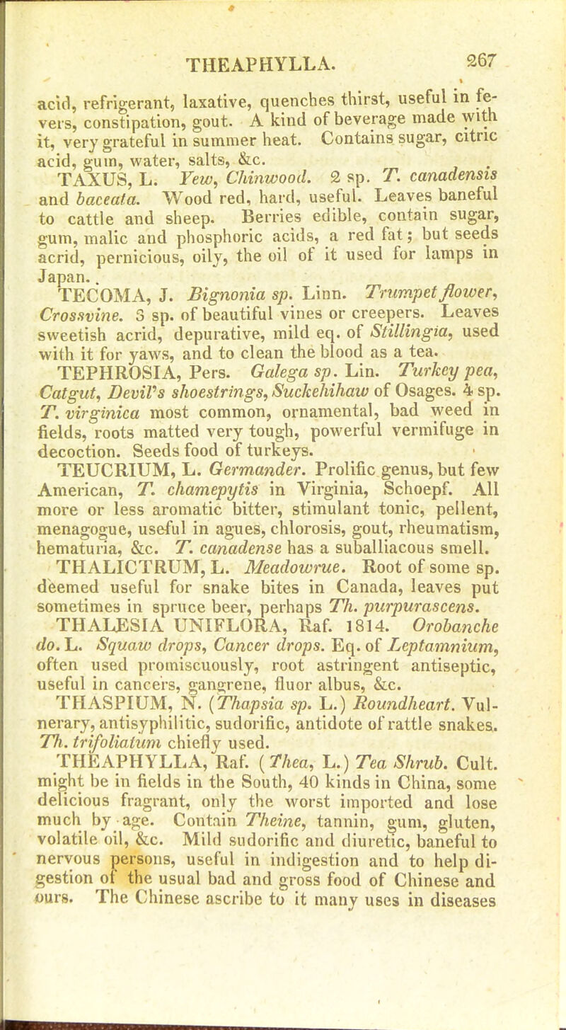 acid, refrigerant, laxative, quenches thirst, useful in fe- vers, constipation, gout. A kind of beverage made with it, very grateful in summer heat. Contains sugar, citric acid, gum, water, salts, &c. TAXUS, L. Yew^ Chinwood. 2 sp. T. canadensis and baceata. Wood red, hard, useful. Leaves baneful to cattle and sheep. Berries edible, contain sugar, gum, malic and phosphoric acids, a red fat; but seeds acrid, pernicious, oily, the oil of it used for lamps in Japan.. TECOMA, J. Bignonia sp. Linn. Trumpet flower, Crossvine. 3 sp. of beautiful vines or creepers. Leaves sweetish acrid, depurative, mild eq. of SHUingia, used with it for yaws, and to clean the blood as a tea. TEPHROSIA, Pers. Galega sp. lAn. Turkey pea, Catgut, DeviVs shoestrings, Suckeliihaw of Osages. 4 sp. T. virginica most common, ornamental, bad weed in fields, roots matted very tough, powerful vermifuge in decoction. Seeds food of turkeys. TEUCRIUM, L. Germander. Prolific genus, but few American, T. chamepytis in Virginia, Schoepf. All more or less aromatic bitter, stimulant tonic, pellent, menagogue, useful in agues, chlorosis, gout, rheumatism, hematuria, &c. T. canadense has a suballiacous smell. THALICTRUM, L. Meadowrue. Root of some sp. deemed useful for snake bites in Canada, leaves put sometimes in spruce beer, perhaps Th. purpurascens. THALESIA UNIFLORA, Raf. 1814. Orobanche do. L. Squaw drops, Cancer drops. Eq. of Leptamnium, often used promiscuously, root astringent antiseptic, useful in cancers, gangrene, fluor albus, &c. THASPIUM, N. (Thapsia sp. L.) Roundheart. Vul- nerary, antisyphilitic, sudorific, antidote of rattle snakes. Til. trifoliatum chiefly used. THEAPHYLLA, Raf. {Thea, L.) Tea Shrub. Cult, might be in fields in the South, 40 kinds in China, some delicious fragrant, only the worst imported and lose much by age. Contain Theine, tannin, gum, gluten, volatile oil, &c. Mild sudorific and diuretic, baneful to nervous persons, useful in indigestion and to help di- gestion of the usual bad and gross food of Chinese and ours. The Chinese ascribe to it many uses in diseases