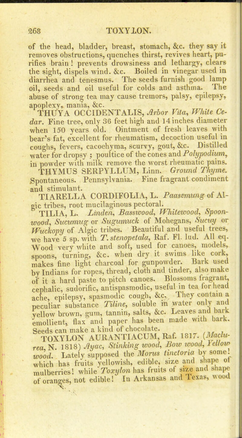 of the head, bladder, breast, stomach, &c. they say it removes obstructions, quenches thirst, revives heart, pu- rifies brain ! prevents drowsiness and lethargy, clears the sight, dispels wind. &c. Boiled in vinegar used in diarrhea and tenesmus. The seeds furnish good lamp oil, seeds and oil useful for colds and asthma. The abuse of strong tea may cause tremors, palsy, epilepsy, apoplexy, mama, &c. THUYA OCCIDENTALIS, Jlrbor Vita, White Ce- dar. Fine tree, only 36 feet high and 14 inches diameter when 150 years old. Ointment of fresh leaves with bear's fat, excellent for rheumatism, decoction useful in coughs, fevers, cacoehyma, scurvy, gout, &c. Distilled water for dropsy ; poultice of the cones and Polypodium^ in powder with milk remove the worst rheumatic pains. THYMUS SERPYLLUM, Linn. Ground Thyme. Spontaneous. Pennsylvania. Fine fragrant condiment and stimulant. TLA.RELLA CORDIFOLIA, L. Paassmung of Al- gic tribes, root mucilaginous pectoral. TILIA, L. Linden, JBasswood, Wliitewood, Spoon- wood, Sucumug or Sugumuch of Mohegans, Sucuy or Wuckopy of Algic tribes. Beautiful and useful trees, we have 5 sp. with T. stenopetala, Raf. Fl. lud. All eq. Wood very white and soft, used for canoes, models, spoons, turning, &c. when dry it swims like cork, makes fine light charcoal for gunpowder. Bark used by Indians for ropes, thread, cloth and tinder, also make of it a hard paste to pitch canoes. Blossoms fragrant, cephalic, sudorific, antispasmodic, useful in tea for head ache, epilepsy, spasmodic cough, &c. They contain a peculiar substance Tiline, soluble in water only and yellow brown, gum, tannin, salts, &c. Leaves and bark emollient, flax and paper has been made with bark. Seeds can make a kind of chocolate. TOXYLON AURANTIACUM, Raf. 18ir. {Madu- rea N 1818) Jlyac, Slinking loood. Bow tvood, lellow wood. Lately supposed the Morus tindoria by some, which has fruits yellowish, edible, size and shape ot mulberries! while'Tox^/Zon has fruits of size and shape of oranges, not edible! In Arkansas and Texas, wooU v.
