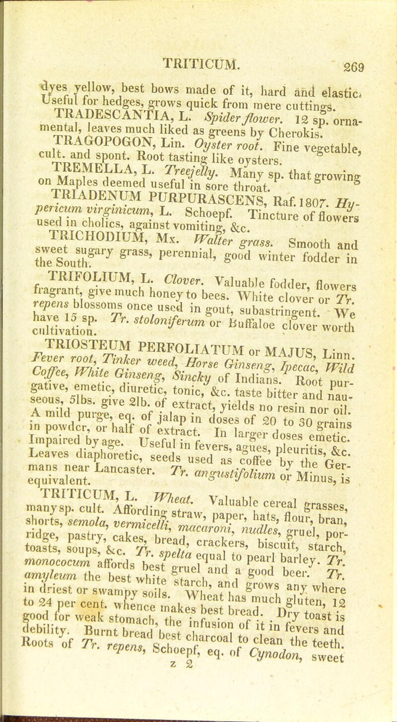TRITICUM. £69 %es yellow, best bows made of it, hard and elastic. '^p A ^'i^^nfxT'^r^^^ cuttings. mlfl^^^^^^Yr^h- ^P^'^''flower. 12 sp. orna- TR A r n^^^^;^5 t^^^ S'^^'^s Cherokis. TRAGOPOGON, Lin. Oyster root. Fine vegetable 'tr'^m^H^; Root tastin. like oysters. ^ ' on J? f^V^'^'^- ^r^'^'^^y- Many sp. that growing TRIADENUM PURPURASCENS, Raf.lSOr. Hy- pencum vzrgzmcnm, L. Schoepf. Tincture of flowers used in chohcs, against vomiting, &c TRICIiODIUM, Mx. ^ai^^l;.,. Smooth and TRIFOLIUM, L C/ot;er. Valuable fodder, flowers fragrant give much honey to bees. White cWV or TV blossor^ once usi in gout, suKringent We cdtULt or Buffaloe clfve!-wo^h TRIOSTEUM PERFOLTATUMorMATTm T Fever root Tinker weed, ^o./e I'S Cope, mute Gmseng, Sincky of Indians. ^ Root Tur gative, emetic, diuretic, tonic, &c. taste bitter and n^au seous 5lbs. give 2lb. of extract, yields no les n nor o^ A mild purge eq. of jalap in doses of 20 to 30Train; imrafr d^bytr^'^se^r ^^-s eSc! LeLs di&^.cr:S,£?- t^^i^ TRITICUM, L. V 1 11 manysp. cult. Affordingttraw lap' Ltf fl , n^^^^' shorts, semola, vermiceffi LZl,' ' If, ' '^'a' ridge, pastry,' cakes ^^7 ?' ''fP^^- toasts, LupsV&Tc 7^, .1/^' ^^■^^^e'-s, biscuit, starch, monoc'oc J affords b^sffu'era!^^ ^'1 'j^'''^^- amyleum the best wMfl S™^^^^ f g»d beer. TV. in driest or swampV fs wLT^ ^''l ^^ ^^ere to 24 per cent, whence makJTS ^ '?^'i,§'ten, 12 good /or weak stomach ?he innfl • ^'^ ^^^^^ debility. Burnt bTead be ? rh! ? . \^ ^'^^''^ Roots of Tr. ^e.e4^'s^;'reTor^ z 2
