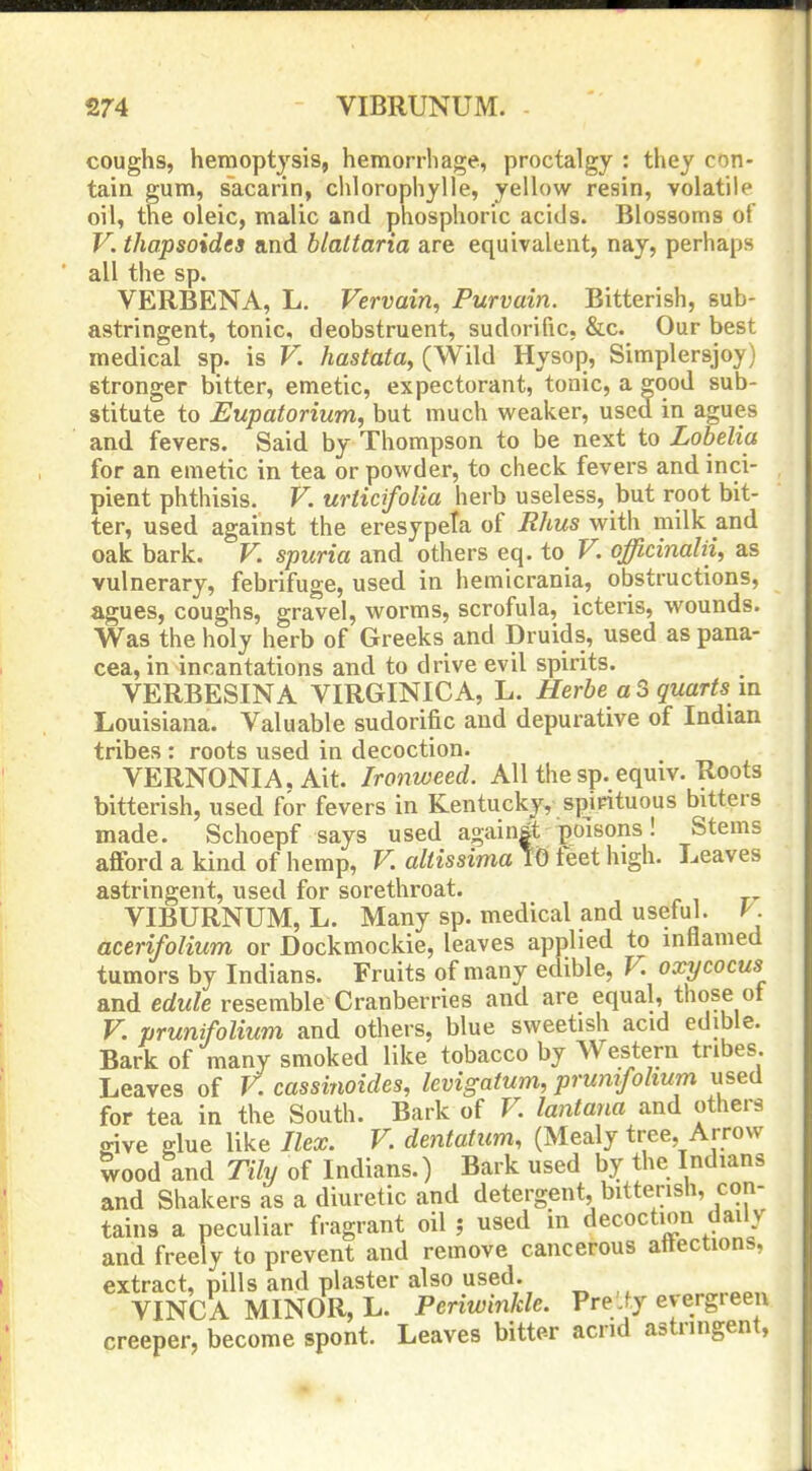 coughs, hemoptysis, hemorrhage, proctalgy : they con- tain gum, sacarin, chlorophylle, yellow resin, volatile oil, the oleic, malic and phosphoric acids. Blossoms of V. thapsoides and blaltaria are equivalent, nay, perhaps all the sp. VERBENA, L. Vervain, Purvain. Bitterish, sub- astringent, tonic, deobstruent, sudorific, &c. Our best medical sp. is V. hastata^ (Wild Hysop, Simplersjoy) stronger bitter, emetic, expectorant, tonic, a good sub- stitute to Eupatorium, but much weaker, used in agues and fevers. Said by Thompson to be next to Lobelia for an emetic in tea or powder, to check fevers and inci- pient phthisis. F. urticifolia herb useless, but root bit- ter, used against the eresypeta of Rhus with milk and oak bark. V. spuria and others eq. to V. qfflcinalii, as vulnerary, febrifuge, used in hemicrania, obstructions, agues, coughs, gravel, worms, scrofula, icteris, wounds. Was the holy herb of Greeks and Druids, used as pana- cea, in incantations and to drive evil spirits. VERBESINA VIRGINICA, L. Herbe a S quarts m Louisiana. Valuable sudorific and depurative of Indian tribes : roots used in decoction. VERNONIA, Ait. Ironweed. All the sp. equiv. Roots bitterish, used for fevers in Kentucky, spirituous bitters made. Schoepf says used against poisons! Stems afford a kind of hemp, V. altissima TO feet high. Leaves astringent, used for sorethroat. VIBURNUM, L. Many sp. medical and useful. ^. acerifolium or Dockmockie, leaves applied to inflamed tumors by Indians. Fruits of many edible, V. oxycocus and edule resemble Cranberries and are equal, those ot V. prunifolium and others, blue sweetish acid edible. Bark of many smoked like tobacco by Western tribes. Leaves of F. cassinoides, levigatum, prunifolium used for tea in the South. Bark of V. lantana and others give glue like Ilex. V. dentatum, (Mealy tree, Arrow wood and Tily of Indians.) Bark used by the Indians and Shakers as a diuretic and detergent, bitterish, con- tains a peculiar fragrant oil ; used in decoction daily and freely to prevent and remove cancerous attections, extract, pills and plaster also used. VINCA MINOR, L. Periwinkle. Pre'Jy evergreen creeper, become spont. Leaves bitte-r acrid astringent,