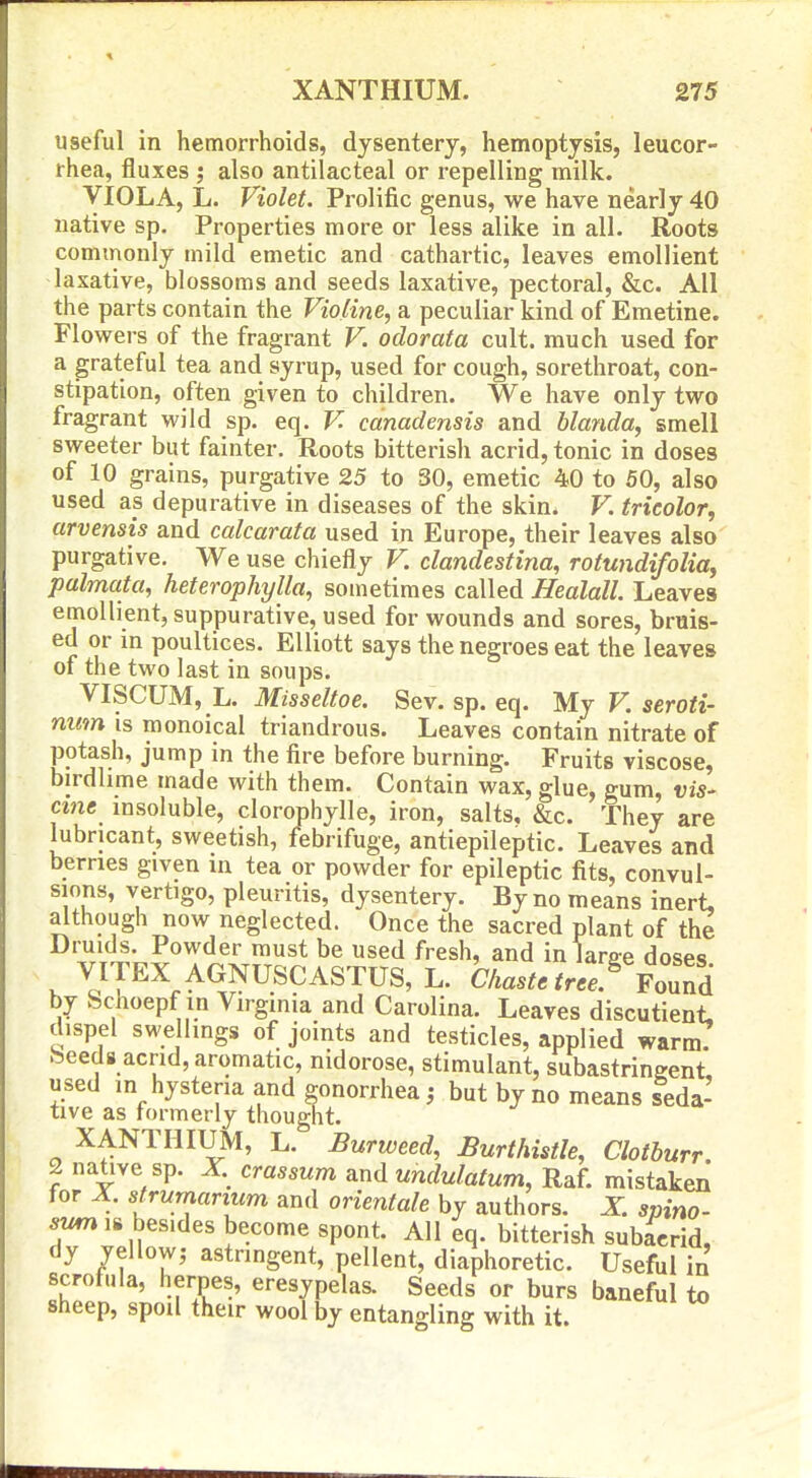 useful in hemorrhoids, dysentery, hemoptysis, leucor- rhea, fluxes ; also antilacteal or repelling milk. VIOLA, L. Violet. Prolific genus, we have nearly 40 native sp. Properties more or less alike in all. Roots commonly mild emetic and cathartic, leaves emollient laxative, blossoms and seeds laxative, pectoral, &c. All the parts contain the Vioiine, a peculiar kind of Emetine. Flowers of the fragrant V. odorata cult, much used for a grateful tea and syrup, used for cough, sorethroat, con- stipation, often given to children. We have only two fragrant wild sp. eq. K canadensis and blanda, smell sweeter but fainter. Roots bitterish acrid, tonic in doses of 10 grains, purgative 25 to 30, emetic 40 to 50, also used as depurative in diseases of the skin. F. tricolor, arvensis and calcarata used in Europe, their leaves also purgative. We use chiefly V. clandestina, rotundifolia, palmata, heterophylla, sometimes called Healall. Leaves emollient, suppurative, used for wounds and sores, bruis- ed or in poultices. Elliott says the negroes eat the leaves of the two last in soups. VISCUM, L. Misseltoe. Sev. sp. eq. My V. seroti- num is monoical triandrous. Leaves contain nitrate of potash, jump in the fire before burning. Fruits viscose, birdlime made with them. Contain wax, glue, gum, vis- cine insoluble, clorophylle, iron, salts, &c. They are lubricant, sweetish, febrifuge, antiepileptic. Leaves and berries given m tea or powder for epileptic fits, convul- sions, vertigo, pleuritis, dysentery. By no means inert, although now neglected. Once the sacred plant of the Druids. Powder must be used fresh, and in lar^e doses VITEX AGNUSCASTUS, L. Chaste tree.^ To^i by Schoepf in Virginia and Carolina. Leaves discutient dispel swe lings of joints and testicles, applied warm? Jseecls acrid, aromatic, nidorose, stimulant, subastringent used in hysteria and gonorrhea; but by no means seda- tive as formerly thought. XANTHIUM, L. Burweed, Burthistle, Clotburr 2 native sp. X crassum md undulatum, Raf. mistakeii for X strumanum and orientale by authors. X spino- ^wm 18 besides become spont. All eq. bitterish subacrid, dy yellow; astringent, pellent, diaphoretic. Useful in scrofula, herpes, eresypelas. Seeds or burs baneful to sheep, spoil their wool by entangling with it.