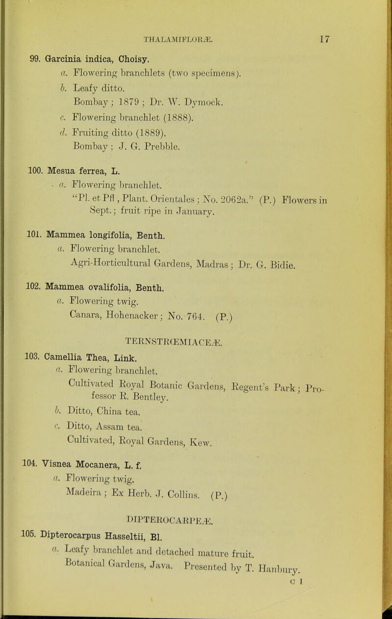 99. Garcinia indica, Choisy. a. Flowering branchlets (two specimens). b. Leafy ditto. Bombay; 1879 ; Dr. W. Dymock. c. Flowering branchlet (1888). d. Fruiting ditto (1889). Bombay ; J. G. Prebble. 100. Mesua ferrea, L. - a. Flowering branchlet. PI. etPfl , Plant. Orientales ; No. 2062a. (P.) Flowers in Sept.; fruit ripe in January. 101. Mammea longifolia, Benth. a. Flowering branchlet. Agri-Horticultural Gardens, Madras; Dr. G. Bidie. 102. Mammea ovalifolia, Benth. a. Flowering twig. Canara, Hohenacker; No. 764. (P.) TERNSTRCEMIACEjE. 103. Camellia Thea, Link. a. Flowering branchlet. Cultivated Eoyal Botanic Gardens, Eegent's Park; Pro- fessor E. Bentley. b. Ditto, China tea. c. Ditto, Assam tea. Cultivated, Eoyal Gardens, Kew. 104. Visnea Mocanera, L. f. a. Flowering twig. Madeira ; Ex Herb. J. Collins. (P.) DIPTEROCARPE/E. 105. Dipterocarpus Hasseltii, Bl. «■ Leafy branchlet and detached mature fruit. Botanical Gardens, Java. Presented by T. Hanbury. c l