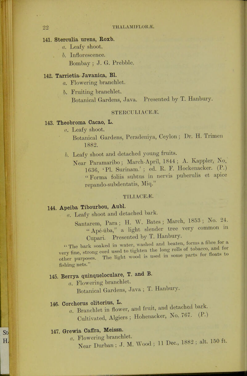 141. Sterculia urens, Roxb. a. Leafy shoot. b. Inflorescence. Bombay ; J. G. Prebble. 142. Tarrietia Javanica, Bl. a. Flowering branchlet. b. Fruiting branchlet. Botanical Gardens, Java. Presented by T. Hanbury. STERCULTACE.K. 143. Theobroma Cacao, L. a. Leafy shoot. Botanical Gardens, Peradeniya, Ceylon ; Dr. H. Trimen 1882. b. Leafy shoot and detached young fruits. Near Paramaribo; March-April, 1844; A. Kappler, No. 1636, 'PI. Surinam.' ; ed. R. F. Hockenacker. (P.) Forma foliis subtus in nervis puberulis et apice repando-subdentatis, Miq. TILIACEiE. 144. Apeiba Tibourbou, Aubl. a. Leafy shoot and detached bark. Santarem, Para; H. W. Bates; March, 1853; No. 24. Ape-uba, a light slender tree very common m Cupari. Presented by T. Hanbury. » The bark soaked in water, washed and beaten, forms a fibre for£ very tine, strong cord used to tighten the long rolls of tobacco, and fm other purposes! The light wood is used in some part, for floats to fishing nets. 145. Berrya quinqueloculare, T. and B. a. Flowering branchlet. Botanical Gardens, Java ; T. Hanbury. 146. Corchorus olitorius, L. a. Branchlet in flower, and fruit, and detached bark Cultivated, Algiers ; Hohenacker, No. 767. (P.) 147. Grewia Caffra, Meissn. a. Flowering branchlet. Near Durban ; .1. M. W 1; 11 Dec, 1882 ; alt 150 ft.