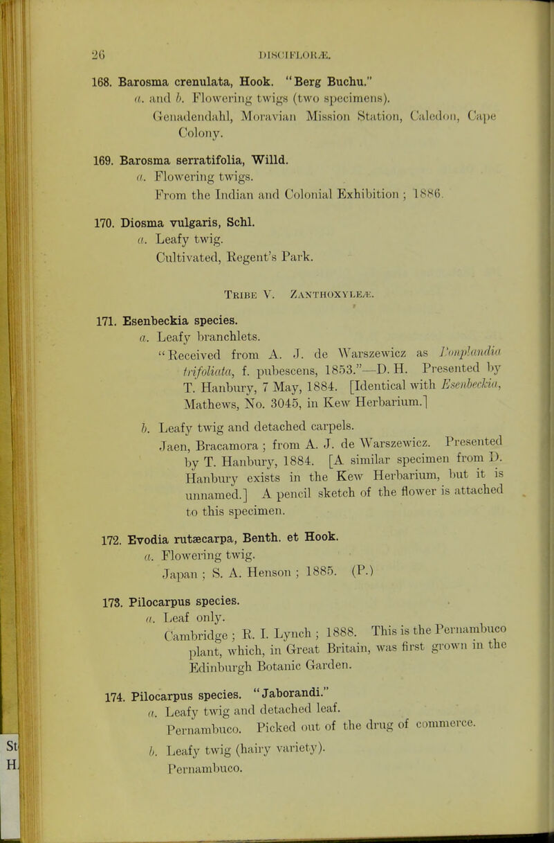 168. Barosma crenulata, Hook. Berg Buchu. a. and 6. Flowering twigs (two specimens). Genadendahl, Moravian Mission Station, Caledoii, Gape Colony. 169. Barosma serratifolia, Willd. a. Flowering twigs. From the Indian and Colonial Exhibition ; 1886 170. Diosma vulgaris, Schl. a. Leafy twig. Cultivated, Regent's Park. Tribe V. Zanthoxyle/i;. 171. Esenbeckia species. a. Leaf3^ branchlets. Received from A. J. de Warszewicz as liowplandia tnfoliata, f. pubescens, 1853.—D. H. Presented by T. Hanbury, 7 May, 1884. [Identical with Esenbeckia, Mathews, No. 3045, in Kew Herbarium.] b. Leafy twig and detached carpels. Jaen, Bracamora ; from A. J. de Warszewicz. Presented by T. Hanbury, 1884. [A similar specimen from D. Hanbury exists in the Kew Herbarium, but it is unnamed.] A pencil sketch of the flower is attached to this specimen. 172. Evodia rutsecarpa, Benth. et Hook. a. Flowering twig. Japan ; S. A. Henson ; 1885. (P.) 178. Pilocarpus species. a. Leaf only. Cambridge ; R. I. Lynch ; 1888. This is the Pernambuco plant, which, in Great Britain, was first grown in the Edinburgh Botanic Garden. 174. Pilocarpus species. Jaborandi. a. Leafy twig and detached leaf. Pernambuco. Picked out of the drug of commerce. h. Leafy twig (hairy variety). Pernambuco.