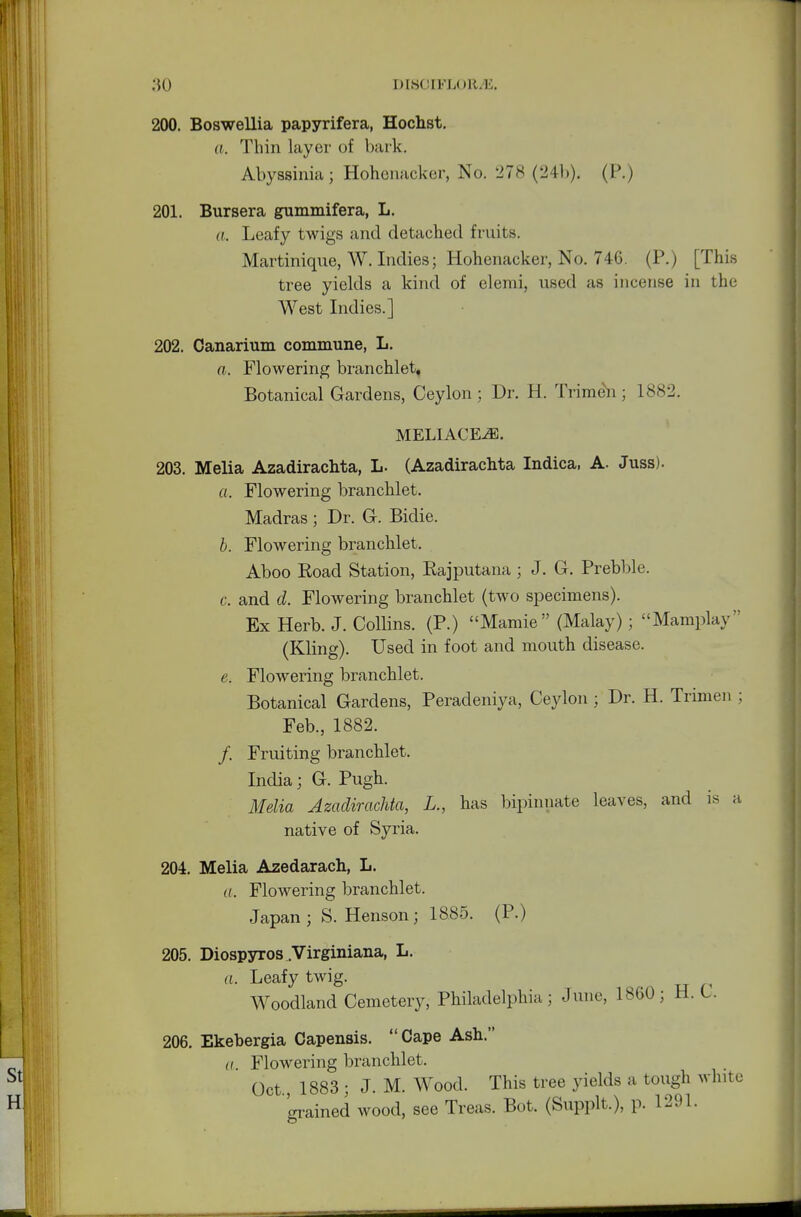 200. Boswellia papyrifera, Hochst. a. Thin layer of bark. Abyssinia; Hohenacker, No. 278 (24b). (P.) 201. Bursera gummifera, L. a. Leafy twigs and detached fruits. Martinique, W. Indies; Hohenacker, No. 746. (P.) [This tree yields a kind of elemi, used as incense in the West Indies.] 202. Canarium commune, L. a. Flowering branchlet. Botanical Gardens, Ceylon ; Dr. H. Trimen ; L882. MELIACEiE. 203. Melia Azadirachta, L- (Azadirachta Indica, A. Juss). a. Flowering branchlet. Madras ; Dr. G. Bidie. b. Flowering branchlet. Aboo Road Station, Rajputana; J. G. Prebble. c. and d. Flowering branchlet (two specimens). Ex Herb. J. Collins. (P.) Mamie (Malay); Mamplay (Kling). Used in foot and mouth disease. e. Flowering branchlet. Botanical Gardens, Peradeniya, Ceylon; Dr. H. Trimen ; Feb., 1882. /. Fruiting branchlet. India; G. Pugh. Melia Azadirachta, L., has bipinnate leaves, and is a native of Syria. 204. Melia Azedarach, L. a. Flowering branchlet. Japan; S. Henson; 1885. (P.) 205. Diospyros .Virginiana, L. a. Leafy twig. Woodland Cemetery, Philadelphia; June, 1860; n. L. 206. Ekebergia Capensis.  Cape Ash. a. Flowering branchlet. Oct, 1883 ; J. M. Wood. This tree yields a tough white ''grained wood, see Treas. Bot. (Supplt.), p. 1291.