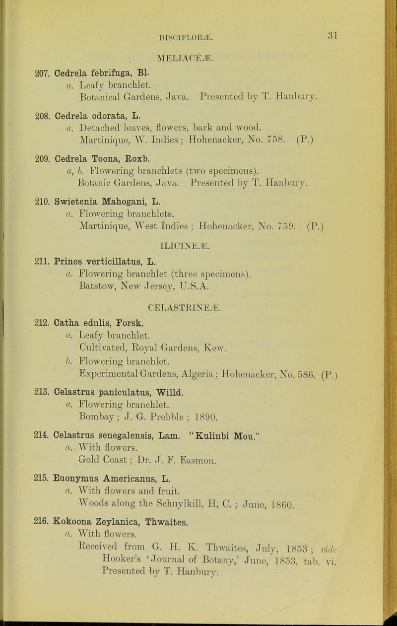 MELIACEiE. 207. Cedrela febrifuga, Bl. a. Leafy branchlet. Botanical Gardens, Java. Presented by T. Hanbury. 208. Cedrela odorata, L. a. Detached leaves, flowers, bark and wood. Martinique, W. Indies; Hohenacker, No. 758. (P.) 209. Cedrela Toona, Roxb. ft, b. Flowering branchlets (two specimens). Botanic Gardens, Java. Presented by T. Hanbury. 210. Swietenia Mahogani, L. ft. Flowering branchlets. Martinique, West Indies ; Hohenacker, No. 759. (P.) ILICINE-E. 211. Prinos verticillatus, L. a. Flowering branchlet (three specimens). Batstow, New Jersey, U.S.A. CELASTRINE.K. 212. Catha edulis, Forsk. ft. Leafy branchlet. Cultivated, Royal Gardens, Kew. b. Flowering branchlet. Experimental Gardens, Algeria; Hohenacker, No. 586. ( 213. Celastrus paniculatus, Willd. a. Flowering branchlet. Bombay; J. G. Prebble ; 1890. 214. Celastrus senegalensis, Lam. Kulinbi Mou. With flowers. Gold Coast; Dr. J. F. Easmon. 215. Euonymus Americanus, L. ft. With flowers and fruit. Woods along the Schuylkill, H. C. ; June, 1860. 216. Kokoona Zeylanica, Thwaites. ft. With flowers. Received from G. H. K. Thwaites, July, 1853; v Hooker's 'Journal of Botany,' June, 1853, tab. Presented by T. Hanbury;