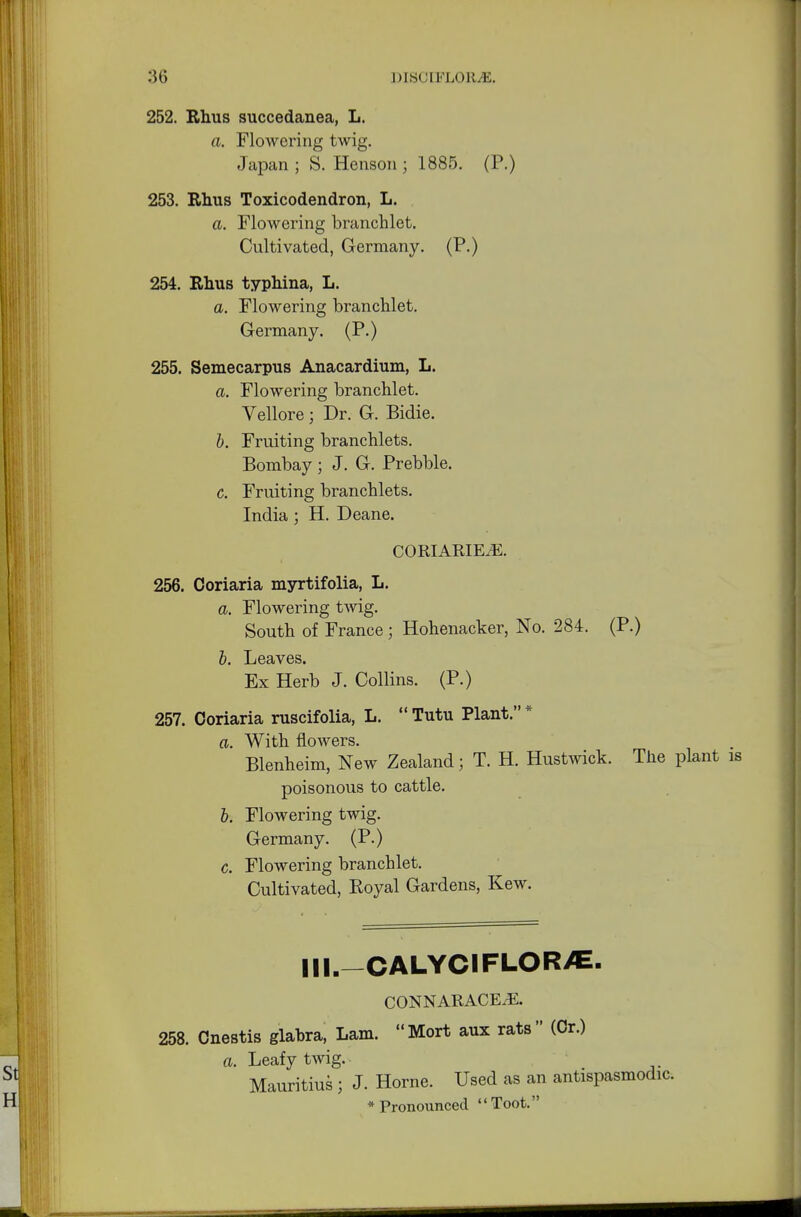 252. Rhus succedanea, L. a. Flowering twig. Japan ; S. Henson ; 188.5. (P.) 253. Rhus Toxicodendron, L. a. Flowering branchlet. Cultivated, Germany. (P.) 254. Rhus typhina, L. a. Flowering branchlet. Germany. (P.) 255. Semecarpus Anacardium, L. a. Flowering branchlet. Vellore; Dr. G. Bidie. b. Fruiting branchlets. Bombay; J. G. Prebble. c. Fruiting branchlets. India ; H. Deane. CORIARIE.E. 256. Ooriaria myrtifolia, L. a. Flowering twig. South of France; Hohenacker, No. 284. (P.) b. Leaves. Ex Herb J. Collins. (P.) 257. Ooriaria ruscifolia, L.  Tutu Plant. * a. With flowers. Blenheim, New Zealand; T. H. Hustwick. The plant is poisonous to cattle. b. Flowering twig. Germany. (P.) c. Flowering branchlet. Cultivated, Royal Gardens, Kew. Ill.-CALYCIFLOR/E. CONNARACEJE. 258. Cnestis glabra, Lam. Mort aux rats (Or.) a. Leafy twig. Mauritius j J. Home. Used as an antispasmodic. * Pronounced Toot.