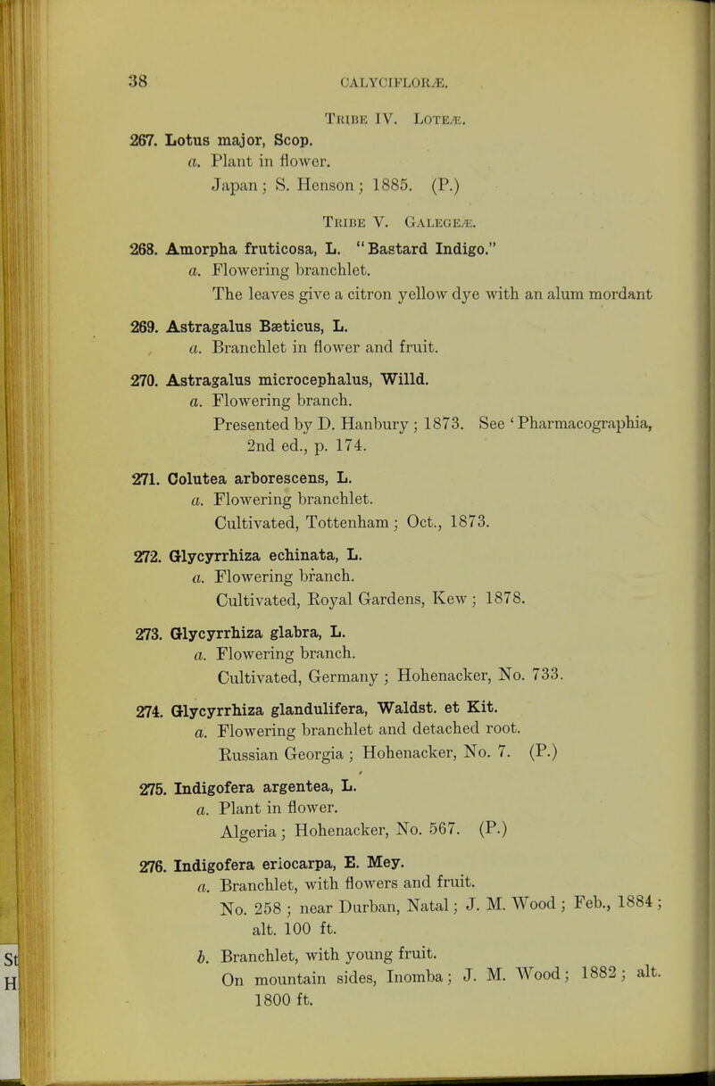 Tribe IV. Lote/k. 267. Lotus major, Scop. a. Plant in flower. Japan; S. Henson; 1885. (P.) Tribe V. Galege^e. 268. Amorpha fruticosa, L. Bastard Indigo. a. Flowering branchlet. The leaves give a citron yellow dye with an alum mordant 269. Astragalus Bseticus, L. a. Branchlet in flower and fruit. 270. Astragalus microcephalus, Willd. a. Flowering branch. Presented by D. Hanbury ; 1873. See ' Pharmacographia, 2nd ed., p. 174. 271. Colutea arborescens, L. a. Flowering branchlet. Cultivated, Tottenham; Oct., 1873. 272. Glycyrrhiza echinata, L. a. Flowering branch. Cultivated, Royal Gardens, Kew ; 1878. 273. Glycyrrhiza glabra, L. a. Flowering branch. Cultivated, Germany ; Hohenacker, No. 733. 274. Glycyrrhiza glandulifera, Waldst. et Kit. a. Flowering branchlet and detached root. Russian Georgia ; Hohenacker, No. 7. (P.) 275. Indigofera argentea, L. a. Plant in flower. Algeria; Hohenacker, No. 567. (P.) 276. Indigofera eriocarpa, E. Mey. a. Branchlet, with flowers and fruit. No. 258 ; near Durban, Natal; J. M. Wood ; Feb., 1884; alt. 100 ft. b. Branchlet, with young fruit. On mountain sides, Inomba; J. M. Wood; 1882; alt. 1800 ft.