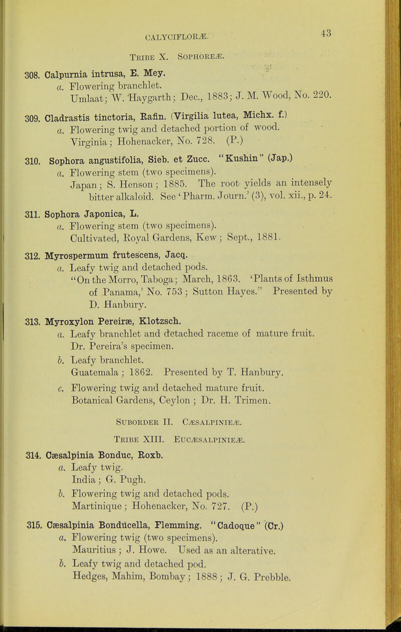 Tribe X. Sophobe.e. 308. Calpurnia intrusa, E. Mey. a. Flowering branchlet. Umlaat; W. Haygarth; Dec, 1883; J. M. Wood, No. 220. 309. Cladrastis tinctoria, Rafin. (Virgilia lutea, Michx. f.) a. Flowering twig and detached portion of wood. Virginia; Hohenacker, No. 728. (P.) 310. Sophora angustifolia, Sieb. et Zucc. Kushin (Jap.) a. Flowering stem (two specimens). Japan; S. Henson; 1885. The root yields an intensely bitter alkaloid. See ' Pharm. Journ.' (3), vol. xii, p. 24. 311. Sophora Japonica, L. a. Flowering stem (two specimens). Cultivated, Royal Gardens, Kew; Sept, 1881. 312. Myrospermum frutescens, Jacq. a. Leafy twig and detached pods. Onthe Morro, Taboga; March, 1863. 'Plants of Isthmus of Panama,' No. 753 ; Sutton Hayes. Presented by D. Hanbury. 313. Myroxylon Pereirse, Klotzsch. a. Leafy branchlet and detached raceme of mature fruit. Dr. Pereira's specimen. b. Leafy branchlet. Guatemala ; 1862. Presented by T. Hanbury. c. Flowering twig and detached mature fruit. Botanical Gardens, Ceylon ; Dr. H. Trimen. SUBOBDEB II. C^SALPINIE/E. TBIBE XIII. EUCjESALPINIEjE. 314. Csesalpinia Bonduc, Roxb. a. Leafy twig. India; G. Pugh. b. Flowering twig and detached pods. Martinique; Hohenacker, No. 727. (P.) 315. Csesalpinia Bondiicella, Hemming. Cadoque (Cr.) a. Flowering twig (two specimens). Mauritius ; J. Howe. Used as an alterative. b. Leafy twig and detached pod. Hedges, Mahim, Bombay; 1888; J. G. Prebble.