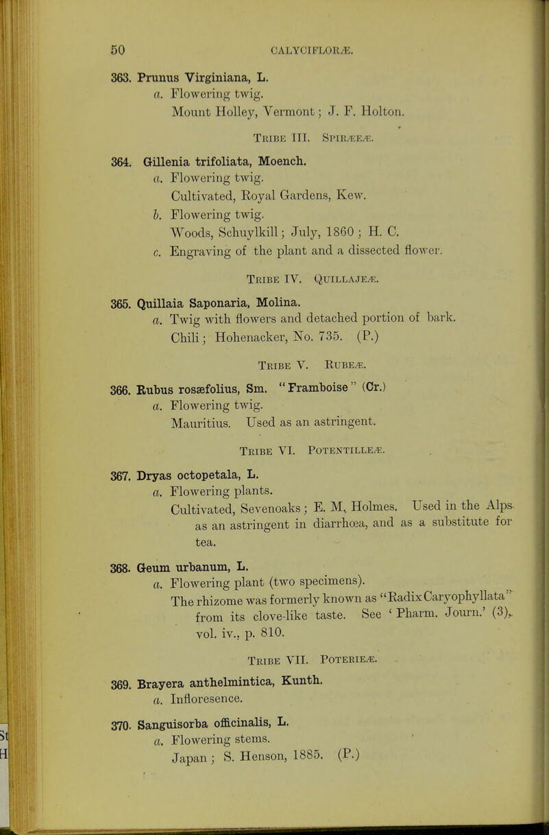 363. Pranus Virginiana, L. a. Flowering twig. Mount Holley, Vermont; J. F. Holton. Tribe hi. Spir^ee^. 364. Gillenia trifoliata, Moench. a. Flowering twig. Cultivated, Royal Gardens, Kew. b. Flowering twig. Woods, Schuylkill; July, 1860 ; H. C. c. Engraving of the plant and a dissected flower. Tribe IV. Quillaje/e. 365. Quillaia Saponaria, Molina. a. Twig with flowers and detached portion of bark. Chili; Hohenacker, No. 735. (P.) Tribe V. Rube^e. 366. Rubus rosaefolius, Sin.  Framboise  (Or.) a. Flowering twig. Mauritius. Used as an astringent. Tribe VI. Potentille/e. 367. Dryas octopetala, L. a. Flowering plants. Cultivated, Sevenoaks; E. M, Holmes. Used in the Alps as an astringent in diarrhoea, and as a substitute for tea. 368. Geum urbanum, L. a. Flowering plant (two specimens). The rhizome was formerly known as Radix Caryophyllata from its clove-like taste. See ' Pharm. Journ.' (S)y vol. iv.. p. 810. Tribe VII. Poterie/e. 369. Brayera anthelmintica, Kunth. a. Infloresence. 370- Sanguisorba officinalis, L. rt. Flowering stems. Japan ; S. Henson, 1885. (P.)