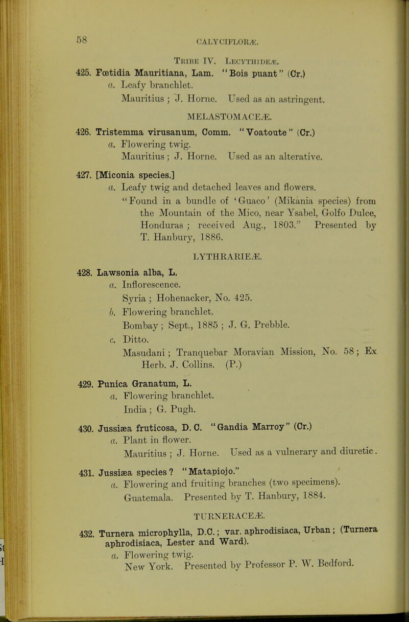 Tribe IV. Lbcythide/e, 425. Fcetidia Mauritiana, Lam. Bois puant (Cr.) ft. Leafy branchlet. Mauritius ; J. Home. Used as an astringent. MEL ASTOM A.CEM. 426. Tristemma virusanum, Comm. Voatoute (Cr.) a. Flowering twig. Mauritius; J. Home. Used as an alterative. 427. [Miconia species.] ft. Leafy twig and detached leaves and flowers. Found in a bundle of 'Guaco' (Mikania species) from the Mountain of the Mico, near Ysabel, Golfo Dulce, Honduras ; received Aug., 1803. Presented by T. Hanbury, 1886. LYTHRARIE^E. 428. Lawsonia alba, L. ft. Inflorescence. Syria ; Hohenacker, No. 425. b. Flowering branchlet. Bombay; Sept., 1885 ; J. G. Prebble. c. Ditto. Masudani; Tranquebar Moravian Mission, No. 58; Ex Herb. J. Collins. (P.) 429. Punica Granatum, L. ft. Flowering branchlet. India ; G. Pugh. 430. Jussisea fruticosa, D. C. Gandia Marroy (Cr.) ft. Plant in flower. Mauritius ; J. Home. Used as a vulnerary and diuretic. 431. Jussisea species? Matapiojo. ft. Flowering and fruiting branches (two specimens). Guatemala. Presented by T. Hanbury, 1884. TURNERACEvE. 432. Turnera microphylla, D.C.; var. aphrodisiaca, Urban; (Turnera aphrodisiaca, Lester and Ward). ft. Flowering twig. New York. Presented by Professor P. W. Bedford.