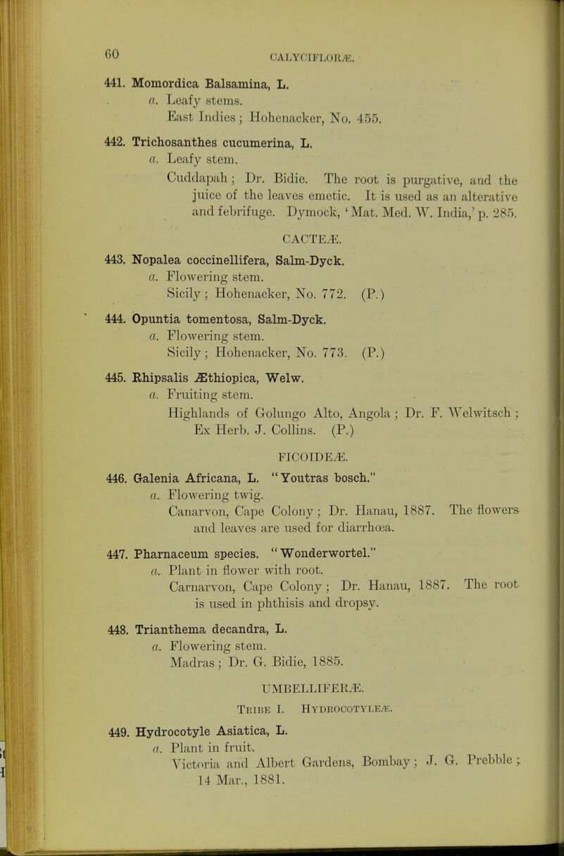 CO 441. Momordica Balsamina, L. ft. Leafy stems. East Indies; Hohenacker, No. 455. 442. Trichosanthes cucumerina, L. a. Leafy stem. Cuddapah; Dr. Bidie. The root is purgative, and the juice of the leaves emetic. It is used as an alterative and febrifuge. Dymock, ' Mat. Med. W. India,' p. 285. CACTE.E. 443. Nopalea coccinellifera, Salm-Dyck. ft. Flowering stem. Sicily; Hohenacker, No. 772. (P.) 444. Opuntia tomentosa, Salm-Dyck. ft. Flowering stem. Sicily; Hohenacker, No. 773. (P.) 445. Rhipsalis ^thiopica, Welw. a. Fruiting stem. Highlands of Golungo Alto, Angola; Dr. F. Welwitsch ; Ex Herb. J. Collins. (P.) FICOIDE.E. 446. Galenia Africana, L. Youtras bosch. a. Flowering twig. Canarvon, Cape Colony; Dr. Hanau, 1887. The flowers and leaves are used for diarrhoea. 447. Pharnaceum species.  Wonderwortel. ft. Plant in flower with root. Carnarvon, Cape Colony ; Dr. Hanau, 1887. The root is used in phthisis and dropsy. 448. Trianthema decandra, L. ft. Flowering stem. Madras; Dr. G. Bidie, 1885. UMBELLIFEKE. Tribe I. Hydrocotyi.e k. 449. Hydrocotyle Asiatica, L. ft. Plant in fruit. Victoria and Albert Gardens, Bombay; J. G. Prebble; 14 Mar., 1881.