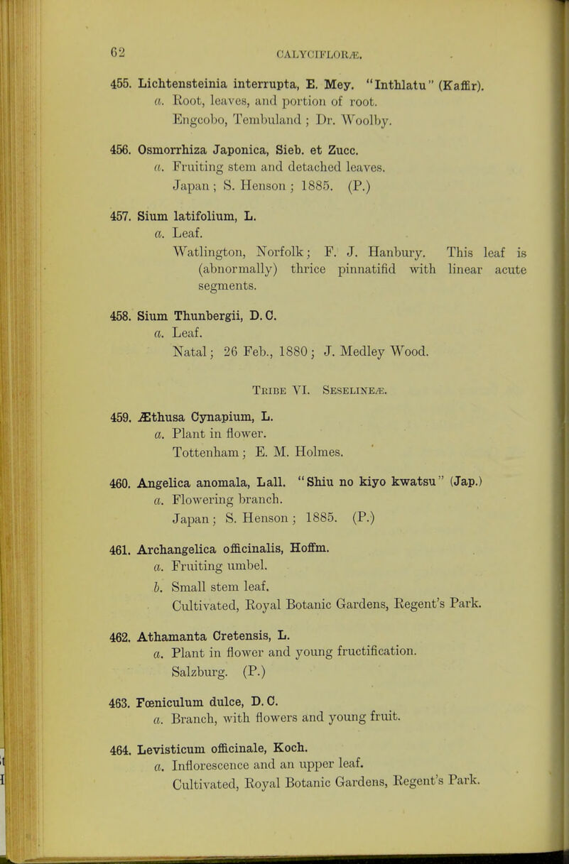 455. Lichtensteinia interrupta, E. Mey. Inthlatu (Kaffir). a. Root, leaves, and portion of root. Engcobo, Tembuland ; Dr. Woolby. 456. Osmorrhiza Japonica, Sieb. et Zucc. a. Fruiting stem and detached leaves. Japan ; S. Henson ; 1885. (P.) 457. Sium latifolium, L. a. Leaf. Watlington, Norfolk; F. J. Hanbury. This leaf is (abnormally) thrice pinnatifid with linear acute segments. 458. Sium Thunbergii, D.C. a. Leaf. Natal; 26 Feb., 1880; J. Medley Wood. Tribe VI. Seseline^;. 459. jUthusa Oynapium, L. a. Plant in flower. Tottenham; E. M. Holmes. 460. Angelica anomala, Lall. Shiu no kiyo kwatsu (Jap.) a. Flowering branch. Japan; S. Henson; 1885. (P.) 461. Archangelica officinalis, Hoffm. a. Fruiting umbel. b. Small stem leaf. Cultivated, Royal Botanic Gardens, Regent's Park. 462. Athamanta Cretensis, L. a. Plant in flower and young fructification. Salzburg. (P.) 463. Foeniculum dulce, D.C. a. Branch, with flowers and young fruit. 464. Levisticum officinale, Koch. a. Inflorescence and an upper leaf. Cultivated, Royal Botanic Gardens, Regent's Park.