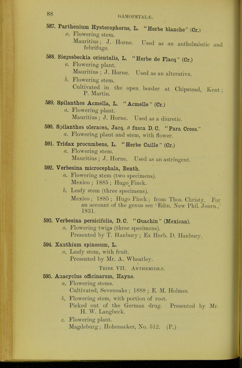 587. Parthenium Hysterophorus, L. Herbe blanche (Or.) a, Flowering stern. Mauritius; J. Home. Used as an anthelmintic and febrifuge. 588. Siegesbeckia orientalis, L. Herbe de Flacq (Cr.) a. Flowering plant. Mauritius j J. Home. Used as an alterative. b. Flowering stem. Cultivated in the open border at Chipstead, Kent ■ P. Martin. 589. Spilanthes Acmella, L.  Acmelle  (Cr.) a. Flowering plant. Mauritius ; J. Home. Used as a diuretic. 590. Spilanthes oleracea, Jacq. $ fusca D. C.  Para Cress. a. Flowering plant and stem, with flower. 591. Tridax procumbens, L.  Herbe Caille  (Cr.) a. Flowering stem. Mauritius ; J. Home. Used as an astringent. 592. Verbesina microcephala, Benth. a. Flowering stem (two specimens). Mexico ; 1885 ; HugoJFinck. b. Leafy stem (three specimens). Mexico; 1885; Hugo Finck ■ fr •om Thos. Christy. For an account of the genus see ' Edin. New Phil. Journ ' 1831. 593. Verbesina persicifolia, D. C.  Guachin  (Mexican). a. Flowering twigs (three specimens). Presented by T. Hanbury; Ex Herb. D. Hanbury. 594. Xanthium spinosum, L. a. Leafy stem, with fruit. Presented by Mr. A. Wheatley. Tribe VII. Anthemide.i . 595. Anacyclus officinarum, Hayne. a. Flowering stems. Cultivated, Sevenoaks ; 1888 ; E. M. Holmes. b. Flowering stem, with portion of root. Picked out of the German drug. Presented by Mr. H. W. Langbeck. c. Flowering plant. Magdeburg; Hohenacker, No. 512. (P.)