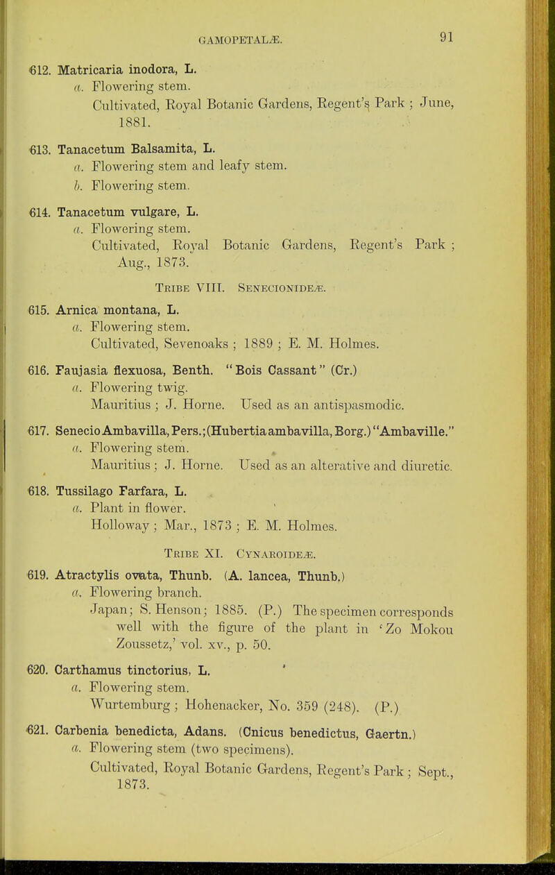 €12. Matricaria inodora, L. a. Flowering stem. Cultivated, Koyal Botanic Gardens, Regent's, Park ; June, 1881. 613. Tanacetum Balsamita, L. a. Flowering stem and leafy stem. b. Flowering stem. 614. Tanacetum vulgare, L. a. Flowering stem. Cultivated, Royal Botanic Gardens, Eegent's Park ; Aug., 1873. Tribe VIII. Senecionide^e. 615. Arnica montana, L. a. Flowering stem. Cultivated, Sevenoaks ; 1889 ; E. M. Holmes. 616. Faujasia flexuosa, Benth. Bois Oassant (Cr.) a. Flowering twig. Mauritius ; J. Home. Used as an antispasmodic. 617. SenecioAmbavilla, Pers.;(Hubertiaambavilla, Borg.) Ambaville. a. Flowering stem. Mauritius ; J. Home. Used as an alterative and diuretic. 618. Tussilago Farfara, L. a. Plant in flower. Holloway; Mar., 1873 ; E. M. Holmes. Tribe XI. Cynaroide^e. 619. Atractylis ovata, Thunb. (A. lancea, Thunb.) a. Flowering branch. Japan; S. Henson; 1885. (P.) The specimen corresponds well with the figure of the plant in 'Zo Mokou Zoussetz,' vol. xv., p. 50. 620. Carthamus tinctorius, L. a. Flowering stem. Wurtemburg ; Hohenacker, No. 359 (248). (P.) •621. Carbenia benedicta, Adans. (Cnicus benedictus, Gaertn.) a. Flowering stem (two specimens). Cultivated, Royal Botanic Gardens, Regent's Park ; Sept 1873.