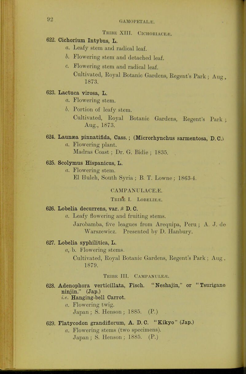 Jj GAMOFETALAS. Tribe XIII. Cighobiacb^ 622. Cichorium Intybus, L. a. Leafy stem and radical leaf. b. Flowering stem and detached leaf. c. Flowering stem and radical leaf. Cultivated, Royal Botanic Gardens, Regent's Park • Aue 1873. h' 623. Lactuca virosa, L. a. Flowering stem. b. Portion of leafy stem. Cultivated, Royal Botanic Gardens, Regent's Park ; Aug., 1873. 624. Launsea pinnatifida, Cass.; (Microrhynchus sarmentosa, D. C.) a. Flowering plant. Madras Coast; Dr. G. Bidie ; 1835. 625. Scolymus Hispanicus, L. a. Flowering stem. El Huleh, South Syria ; B. T. Lowne; 1863-4. CAMPANULACE^E. TRIBE I. LOBELIE^. 626. Lobelia decurrens, var. £ D. C. a. Leafy flowering and fruiting stems. Jarobamba, five leagues from Arequipa, Peru; A. J. de Warszewicz. Presented by D. Hanbury. 627. Lobelia syphilitica, L. a, b. Flowering stems. Cultivated, Royal Botanic Gardens, Regent's Park ; Aug . 1879. Tribe III. Campanule^e. 628. Adenophora verticillata, Fisch. Neshajin, or Tsurigane ninjin. (Jap.) i.e. Hanging-bell Carrot. a. Flowering twig. Japan; S. Henson ; 1885. (P.) 629. Flatycodon grandiflorum, A. D. C. Kikyo (Jap.) a. Flowering stems (two specimens). Japan; S. Henson; 1885. (P.)