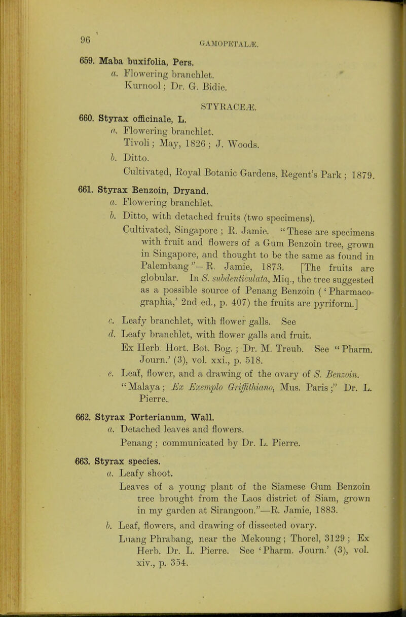 OAMOPETAL^E. 659. Maba buxifolia, Pers. a, Flowering branchlet. Kurnool; Dr. G. Bidic. STYRACE.&5. 660. Styrax officinale, L. a. Flowering branchlet. Tivoli; May, 1826 ; J. Woods. h. Ditto. Cultivated, Royal Botanic Gardens, Regent's Park ; 1879. 661. Styrax Benzoin, Dryand. a. Flowering branchlet. b. Ditto, with detached fruits (two specimens). Cultivated, Singapore ; R. Jamie.  These are specimens with fruit and flowers of a Gum Benzoin tree, grown in Singapore, and thought to be the same as found in Palembang— R. Jamie, 1873. [The fruits are globular. In S. subdenticulata, Miq., the tree suggested as a possible source of Penang Benzoin (' Pharmaco- graphia,' 2nd ed., p. 407) the fruits are pyriform.] c. Leafy branchlet, with flower galls. See d. Leafy branchlet, with flower galls and fruit. Ex Herb Hort. Bot. Bog. ; Dr. M. Treub. See Pharm. Journ.' (3), vol. xxi., p. 518. e. Leaf, flower, and a drawing of the ovary of S. Benzoin.  Malaya; Ex Exemplo Griffithiano, Mus. Paris; Dr. L. Pierre. 662. Styrax Porterianum, Wall. a. Detached leaves and flowers. Penang ; communicated by Dr. L. Pierre. 663. Styrax species. a. Leafy shoot. Leaves of a young plant of the Siamese Gum Benzoin tree brought from the Laos district of Siam, grown in my garden at Sirangoon.—R. Jamie, 1883. b. Leaf, flowers, and drawing of dissected ovary. Luang Phrabang, near the Mekoung; Thorel, 3129 ; Ex Herb. Dr. L. Pierre. See 'Pharm. Journ.' (3), vol. xiv., p. 354.