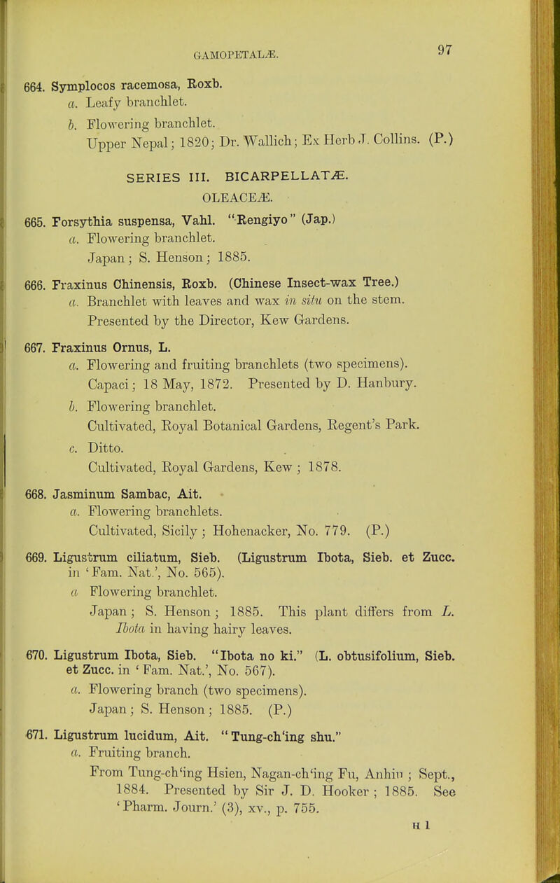 664. Symplocos racemosa, Roxb. a. Leafy branchlet. b. Flowering branchlet. Upper Nepal; 1820; Dr. Wallich; Ex Herb J. Collins. (P.) SERIES III. BICARPELLAT\fli. OLEACEiE. 665. Forsythia suspensa, Vahl. Rengiyo (Jap.) a. Flowering branchlet. Japan; S. Henson; 1885. 666. Fraxinus Chinensis, Roxb. (Chinese Insect-wax Tree.) a. Branchlet with leaves and wax in situ on the stem. Presented by the Director, Kew Gardens. 667. Fraxinus Ornus, L. a. Flowering and fruiting branchlets (two specimens). Capaci; 18 May, 1872. Presented by D. Hanbury. b. Flowering branchlet. Cultivated, Royal Botanical Gardens, Regent's Park. c. Ditto. Cultivated, Royal Gardens, Kew ; 1878. 668. Jasminum Sambac, Ait. a. Flowering branchlets. Cultivated, Sicily; Hohenacker, No. 779. (P.) 669. Ligustrum ciliatum, Sieb. (Ligustrum Ibota, Sieb. et Zucc. in 'Fam. Nat.', No. 565). a Flowering branchlet. Japan; S. Henson; 1885. This plant differs from L. Ibota in having hairy leaves. 670. Ligustrum Ibota, Sieb. Ibota no ki. (L. obtusifolium, Sieb. et Zucc. in ' Fam. Nat.', No. 567). a. Flowering branch (two specimens). Japan; S. Henson ; 1885. (P.) €71. Ligustrum lucidum, Ait.  Tung-ch'ing shu. a. Fruiting branch. From Tung-ch'ing Hsien, Nagan-ch'ing Fu, Anhin ; Sept., 1884. Presented by Sir J. D. Hooker ; 1885. See ' Pharm. Journ.' (3), xv., p. 755. H 1