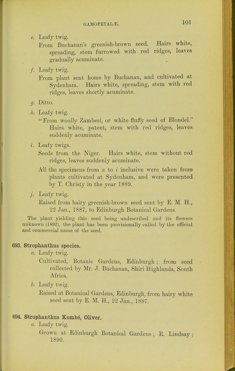 e. Leafy twig. From Buchanan's greenish-brown seed. Hairs white, spreading, stem furrowed with red ridges, leaves gradually acuminate. /. Leafy twig. From plant sent home by Buchanan, and cultivated at Sydenham. Hairs white, spreading, stem with red ridges, leaves shortly acuminate. g. Ditto. h. Leafy twig.  From woolly Zambesi, or white fluffy seed of Blondel. Hairs white, patent, stem with red ridges, leaves suddenly acuminate. i. Leafy twigs. Seeds from the Niger. Hairs white, stem without red ridges, leaves suddenly acuminate. All the specimens from a to i inclusive were taken from plants cultivated at Sydenham, and were presented by T. Christy in the year 1889. j. Leafy twig. Raised from hairy greenish-brown seed sent by E. M. H., 22 Jan., 1887, to Edinburgh Botanical Gardens. The plant yielding this seed being undescribed and its flowers unknown (1892), the plant has been provisionally called by the official and commercial name of the seed. 693. Strophantus species. a. Leafy twig. Cultivated, Botanic Gardens, Edinburgh; from seed collected by Mr. J. Buchanan, Shiri Highlands, South Africa. 1). Leafy twig. Raised at Botanical Gardens, Edinburgh, from hairy white seed sent by E. M. H., 22 Jan., 1887. 694. Strophanthus Kombe\ Oliver. a. Leafy twig. Grown at Edinburgh Botanical Gardens; R. Lindsay: 1890.