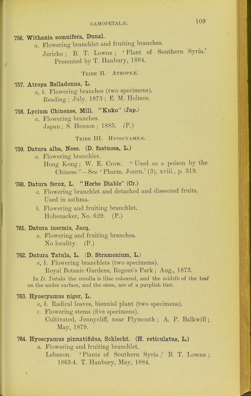 756. Withania somnifera, Dunal. a. Flowering branchlet and fruiting branches. Jericho ; B. T. Lowne ; ' Plant of Southern Syria.' Presented by T. Hanbury, 1884. Tribe II. Atrope^e. 757. Atropa Belladonna, L. a, b. Flowering branches (two specimens). ' Beading ; July: 1873 ; E. M. Holmes. 758. Lycium Chinense, Mill. Kuko (Jap.) a. Flowering branches. Japan; S. Henson ; 1885. (P.) Tribe III. Hyoscyame^:. 759. Datura alba, Nees. (D. fastuosa, L.) a. Flowering branchlet. Hong Kong; W. E. Crow.  Used as a poison by the Chinese.—See 'Pharm. Journ.' (3), xviii., p. 319. 760. Datura ferox, L. Herbe Diable (Cr.) a. Flowering branchlet and detached and dissected fruits. Used in asthma. b. Flowering and fruiting branchlet. Hohenacker, No. 629. (P.) 761. Datura inermis, Jacq. a. Flowering and fruiting branches. No locality. (P.) 762. Datura Tatula, L. (D. Stramonium, L.) a, b. Flowering branchlets (two specimens). Royal Botanic Gardens, Regent's Park; Aug., 1873. In D. Tatula, the corolla is lilac coloured, and the midrib of the leaf on the under surface, and the stem, are of a purplish tint. 763. Hyoscyamus niger, L. a, b. Radical leaves, biennial plant (two specimens). c. Flowering stems (five specimens). Cultivated, Jennycliff, near Plymouth ; A. P. Balkwill; May, 1879. 764. Hyoscyamus pinnatifidus, Schlecht. (H. reticulatus, L.) a. Flowering and fruiting branchlet. Lebanon. ' Plants of Southern Syria ;' B. T. Lowne ; 1863-4. T. Hanbury, May, 1884.