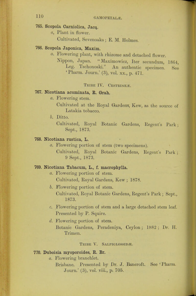 (iAMO PETALS. 765. Scopola Carniolica, Jacq. a, Plant in flower. Cultivated, Sevenoaks; E. M. Holmes. 766. Scopola Japonica, Maxim. a. Flowering plant, with rhizome and detached flower. Nippon, Japan. Maximowicz, Iter secundum, 1864, Leg. Tschonoski. An authentic specimen. See 'Pharm. Journ.' (3), vol. xx., p. 471. Tkibe IV. CESTRINEvK 767. Nicotiana acuminata, R. Grah. a. Flowering stem. Cultivated at the Royal Gardens, Kew, as the source of Latakia tobacco. b. Ditto. Cultivated, Eoyal Botanic Gardens, Regent's Park: Sept., 1873. 768. Nicotiana rustica, L. a. Flowering portion of stem (two specimens). Cultivated, Royal Botanic Gardens, Regent's Park; 9 Sept., 1873. 769. Nicotiana Tabacum, L., f. macrophylla. a. Flowering portion of stem. Cultivated, Royal Gardens, Kew ; 1878. b. Flowering portion of stem. Cultivated, Royal Botanic Gardens, Regent's Park; Sept., 1873. c. Flowering portion of stem and a large detached stem leaf. Presented by P. Squire. d. Flowering portion of stem. Botanic Gardens, Peradeniya, Ceylon; 1882 ; Dr. H. Trimen. Tribe V. Salpiglossid^e. 770. Duboisia myoporoides, R. Br. a. Flowering branchlet. Brisbane. Presented by Dr. J. Bancroft. See 'Pharm. Journ.' (3), vol. viii., p. 705.