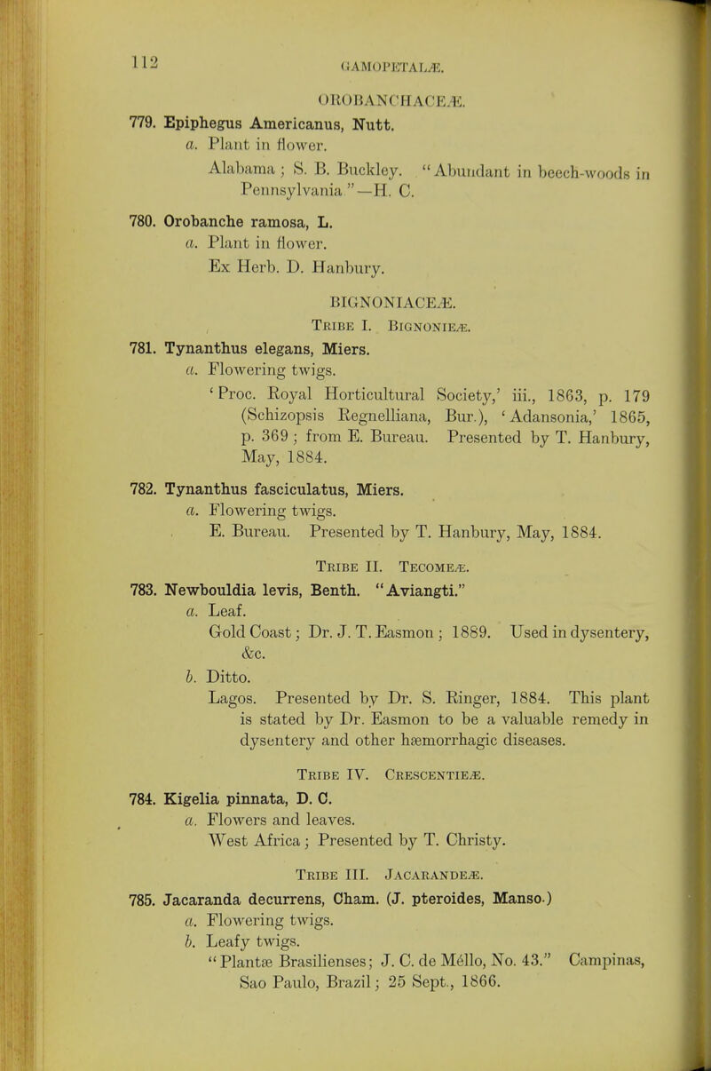 OROBANCHACK.E. 779. Epiphegus Americanus, Nutt. a. Plant in Mower. Alabama ; S. B. Buckley. Abundant in beech-woods in Pennsylvania —H. C. 780. Orobanche ramosa, L. a. Plant in flower. Ex Herb. D. Hanbury. BIGNONIACEvE. Tribe I. Bignonik.k. 781. Tynanthus elegans, Miers. a. Flowering twigs. ' Proc. Boyal Horticultural Society,' iii., 1863, p. 179 (Sehizopsis Regnelliana, Bur.), ' Adansonia,' 1865, p. 369; from E. Bureau. Presented by T. Hanbury, May, 1884. 782. Tynanthus fasciculatus, Miers. a. Flowering twigs. E. Bureau. Presented by T. Hanbury, May, 1884. Tribe II. Tecome^e. 783. Newbouldia levis, Benth. Aviangti. a. Leaf. Gold Coast; Dr. J. T. Easmon ; 1889. Used in dysentery, &c. b. Ditto. Lagos. Presented by Dr. S. Ringer, 1884. This plant is stated by Dr. Easmon to be a valuable remedy in dysentery and other hemorrhagic diseases. Tribe IV. CrescentiejE. 784. Kigelia pinnata, D. C. a. Flowers and leaves. West Africa; Presented by T. Christy. Tribe III. Jacarande/e. 785. Jacaranda decurrens, Cham. (J. pteroides, Manso.) a. Flowering twigs. b. Leafy twigs.  Plantse Brasilienses; J. C. cle M6llo, No. 43. Campinas, Sao Paulo, Brazil; 25 Sept., 1866.