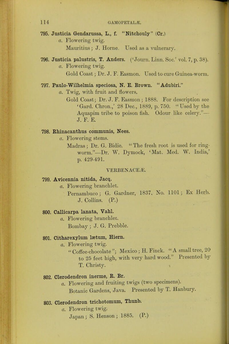 795. Justicia Gendarussa, L., f. Nitchouly (Or.) a. Flowering twig. Mauritius ; J. Home. Used as a vulnerary. 796. Justicia palustris, T. Anders. ('Journ. Linn. Soc.' vol. 7, p. 38). ft. Flowering twig. Gold Coast; Dr. J. F. Easmon. Used to cure Guinea-worm. 797. Paulo-Wilhelmia speciosa, N. E. Brown. Adubiri. a. Twig, with fruit and flowers. Gold Coast; Dr. J. F. Easmon; 1888. For description see 'Gard. Chron.,' 28 Dec, 1889, p. 750. Usedby the Aquapim tribe to poison fish. Odour like celery.— J. F. E. 798. Rhinacanthus communis, Nees. A. Flowering stems. Madras; Dr. G. Bidie.  The fresh root is used for ring- worm.—Dr. W. Dymock, 'Mat. Med. W. India,' p. 429-491. VERBENACEiE. 799. Avicennia nitida, Jacq. a. Flowering branchlet. Pernambuco; G. Gardner, 1837, No. 1101; Ex Herb. J. Collins. (P.) 800. Callicarpa lanata, Vahl. ft. Flowering branchlec. Bombay ; J. G. Prebble. 801. Citharexylum lsetum, Hiern. ft. Flowering twig.  Coffee-chocolate ; Mexico ; H. Finck.  A small tree, 20 to 25 feet high, with very hard wood. Presented by T. Christy. 802. Olerodendron inerme, R. Br. ft. Flowering and fruiting twigs (two specimens). Botanic Gardens, Java. Presented by T. Hanbury. 803. Olerodendron trichotomum, Thunb. ft. Flowering twig. Japan; S. Henson ; 1885. (P.)