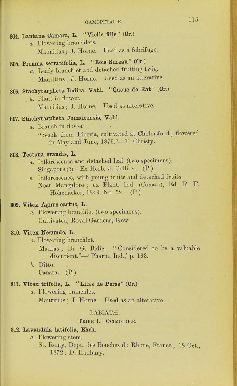 804. Lantana Camara, L. Vielle fille (Or.) a. Flowering branchlets. Mauritius ; J. Home. Used as a febrifuge. 805. Premna serratifolia, L. Bois Sureau (Or.) a. Leafy branchlet and detached fruiting twig. Mauritius; J. Home. Used as an alterative. 806. StachytaTpheta Indica, Vahl. Queue de Rat (Or.) a. Plant in flower. Mauritius ; J. Home. Used as alterative. 807. Stachytarpheta Janraicensis, Vahl. a. Branch in flower.  Seeds from Liberia, cultivated at Chelmsford; flowered in May and June, 1879.—T. Christy. 808. Tectona grandis, L. a. Inflorescence and detached leaf (two specimens). Singapore (1); Ex Herb. J. Collins. (P.) b. Inflorescence, with young fruits and detached fruits. Near Mangalore ; ex Plant. Ind. (Canara), Ed. E. F. Hohenacker, 1849, No. 52. (P.) 809. Vitex Agnus-castus, L. a. Flowering branchlet (two specimens). Cultivated, Royal Gardens, Kew. 810. Vitex Negundo, L. a. Flowering branchlet. Madras ; Dr. G. Bidie.  Considered to be a valuable discutient.—'Pharm. Ind.,' p. 163. b. Ditto. Canara. (P.) 811. Vitex trifolia, L. Lilas de Perse (Cr.) a. Flowering branchlet. Mauritius; J. Home. Used as an alterative. LABIATE. Tribe I. OcimoidejE. 812. Lavandula latifolia, Ehrh. a. Flowering stem. St. Remy, Dept. des Bouches du Rhone, France ; 18 Oct., 1872; D. Hanbury.