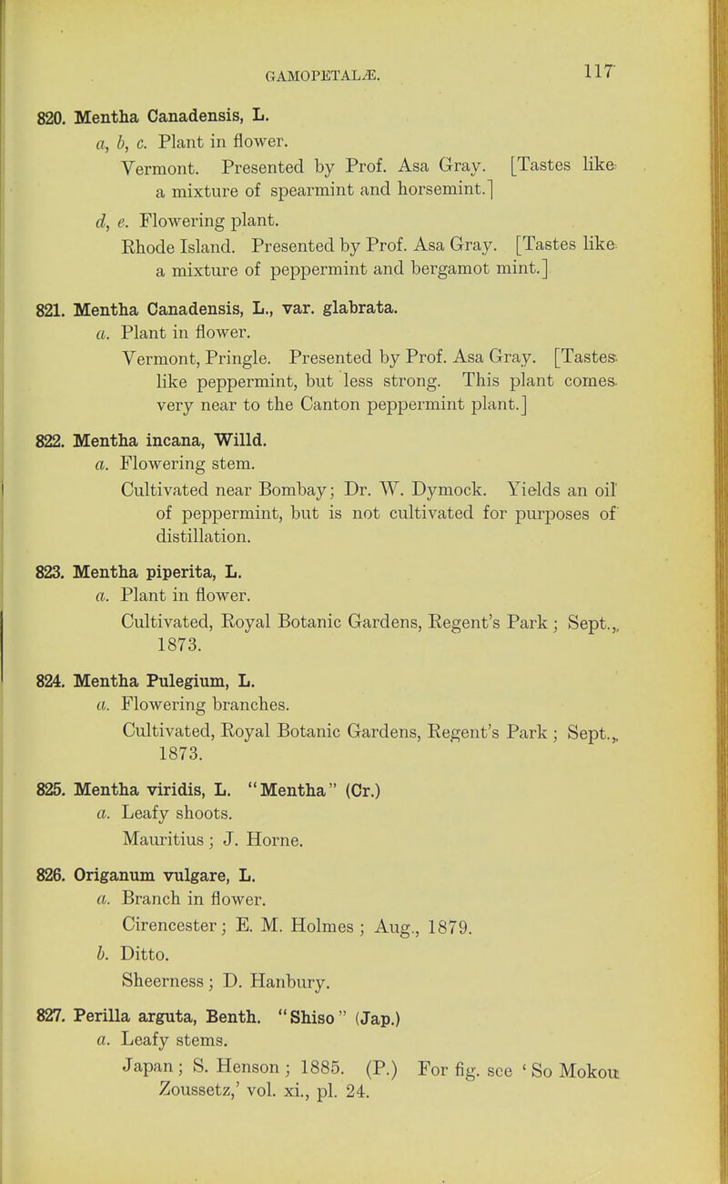 820. Mentha Canadensis, L. a, b, c. Plant in flower. Vermont. Presented by Prof. Asa Gray. [Tastes like a mixture of spearmint and horsemint] d, e. Flowering plant. Rhode Island. Presented by Prof. Asa Gray. [Tastes like, a mixture of peppermint and bergamot mint.] 821. Mentha Canadensis, L., var. glabrata. ft. Plant in flower. Vermont, Pringle. Presented by Prof. Asa Gray. [Tastes- like peppermint, but less strong. This plant comes, very near to the Canton peppermint plant.] 822. Mentha incana, Willd. a. Flowering stem. Cultivated near Bombay; Dr. W. Dymock. Yields an oil of peppermint, but is not cultivated for purposes of distillation. 823. Mentha piperita, L. ft. Plant in flower. Cultivated, Royal Botanic Gardens, Regent's Park ; Sept.,, 1873. 824. Mentha Pulegium, L. a. Flowering branches. Cultivated, Royal Botanic Gardens, Regent's Park ; Sept.„ 1873. 825. Mentha viridis, L. Mentha (Cr.) ft. Leafy shoots. Mauritius; J. Home. 826. Origanum vulgare, L. ft. Branch in flower. Cirencester; E. M. Holmes; Aug., 1879. b. Ditto. Sheerness; D. Hanbury. 827. Perilla arguta, Benth.  Shiso  (Jap.) ft. Leafy stems. Japan; S. Henson ; 1885. (P.) For fig. see ' So Mokoit Zoussetz,' vol. xi., pi. 24.