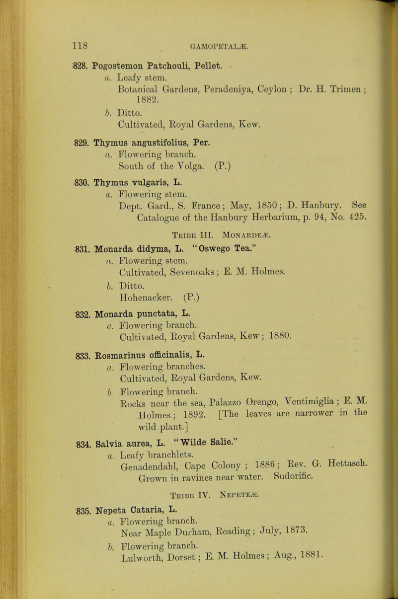 328. Pogostemon Patchouli, Pellet. a. Leafy stem. Botanical Gardens, Peradeniya, Ceylon ; Dr. H. Trimen ; 1882. b. Ditto. Cultivated, Royal Gardens, Kevv. 329. Thymus angustifolius, Per. a. Flowering branch. South of the Volga. (P.) 330. Thymus vulgaris, L. a. Flowering stem. Dept. Gard., S. France; May, 1850; D. Hanbury. See Catalogue of the Hanbury Herbarium, p. 94, No. 425. Tribe III. Monardete. 331. Monarda didyma, L. Oswego Tea. a. Flowering stem. Cultivated, Sevenoaks ; E. M. Holmes. b. Ditto. Hohenacker. (P.) 332. Monarda punctata, L. a. Flowering branch. Cultivated, Royal Gardens, Kew; 1880. 833. Rosmarinus officinalis, L. a. Flowering branches. Cultivated, Royal Gardens, Kew. b Flowering branch. Rocks near the sea, Palazzo Orengo, Ventimiglia ; E. M. Holmes; 1892. [The leaves are narrower in the wild plant.] 334. Salvia aurea, L. Wilde Salie. a. Leafy branchlets. Genadendahl, Cape Colony ; 1886; Rev. G. Hettasch. Grown in ravines near water. Sudorific. Tribe IV. Nepete^:. 335. Nepeta Cataria, L. a. Flowering branch. Near Maple Durham, Reading; July, 1873. b. Flowering branch. Lulworth, Dorset; E. M. Holmes ; Aug., 1881.