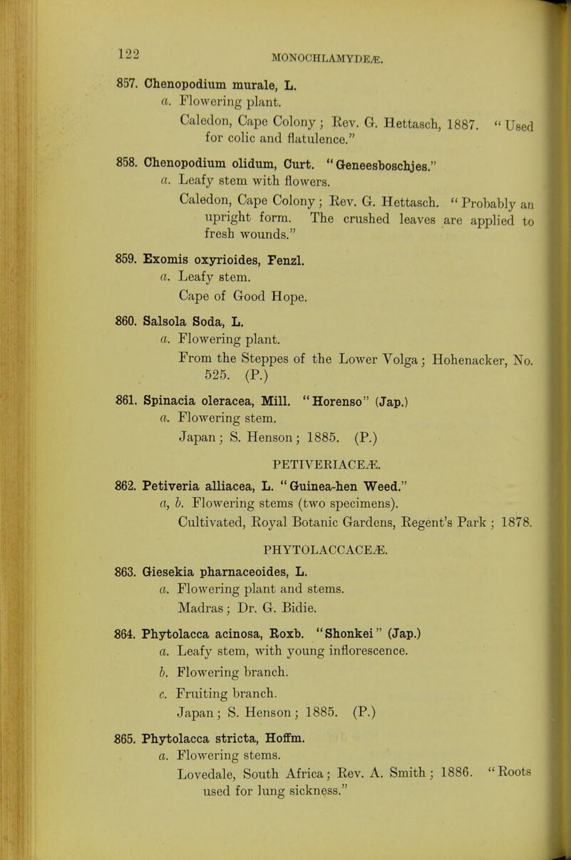 857. Chenopodium murale, L. a. Flowering plant. Caledon, Cape Colony • Rev. G. Hettasch, 1887.  Used for colic and flatulence. 858. Chenopodium olidum, Curt. Geneesboschjes. a. Leafy stem with flowers. Caledon, Cape Colony • Rev. G. Hettasch.  Probably an upright form. The crushed leaves are applied to fresh wounds. 859. Exomis oxyrioides, Fenzl. a. Leafy stem. Cape of Good Hope. 860. Salsola Soda, L. a. Flowering plant. From the Steppes of the Lower Volga • Hohenacker, No. 525. (P.) 861. Spinacia oleracea, Mill. Horenso (Jap.) a. Flowering stem. Japan; S. Henson; 1885. (P.) PETIVERIACE^E. 862. Petiveria alliacea, L. G-uinea-hen Weed. a, b. Flowering stems (two specimens). Cultivated, Royal Botanic Gardens, Regent's Park ; 1878. PHYTOLACCACE.E. 863. Giesekia pharnaceoides, L. a. Flowering plant and stems. Madras j Dr. G. Bidie. 864. Phytolacca acinosa, Roxb. Shonkei (Jap.) a. Leafy stem, with young inflorescence. b. Flowering branch. c. Fruiting branch. Japan; S. Henson; 1885. (P.) 865. Phytolacca stricta, Hoffm. a. Flowering stems. Lovedale, South Africa; Rev. A. Smith; 1886. Roots used for lung sickness.