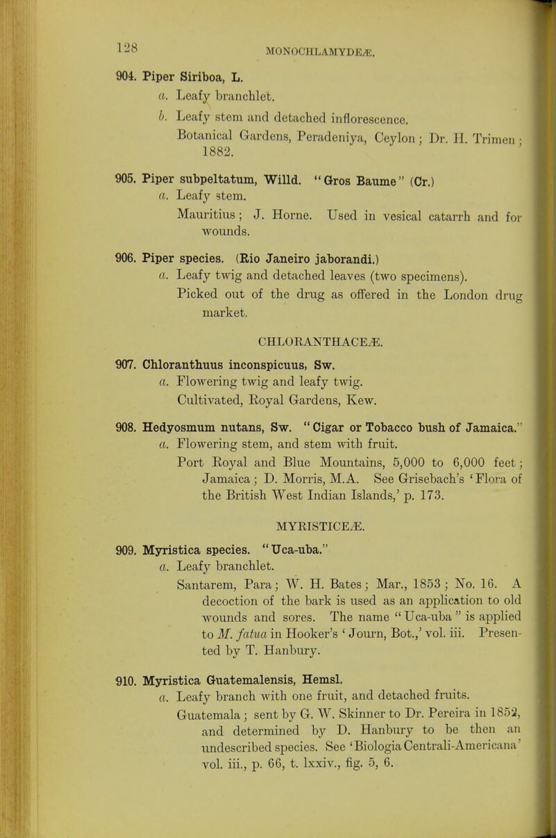 904. Piper Siriboa, L. a. Leafy branchlet. 1). Leafy stem and detached inflorescence. Botanical Gardens, Peradeniya, Ceylon; Dr. H Trinien ■ 1882. 905. Piper subpeltatum, Willd. Gros Baume (Cr.) a. Leafy stem. Mauritius ; J. Home. Used in vesical catarrh and for wounds. 906. Piper species. (Rio Janeiro jaborandi.) a. Leafy twig and detached leaves (two specimens). Picked out of the drug as offered in the London drug market. CHLORANTHACE.E. 907. Chloranthuus inconspicuus, Sw. a. Flowering twig and leafy twig. Cultivated, Royal Gardens, Kew. 908. Hedyosmum nutans, Sw.  Cigar or Tobacco bush of Jamaica. a. Flowering stem, and stem with fruit. Port Royal and Blue Mountains, 5,000 to 6,000 feet; Jamaica; D. Morris, M.A. See Grisebach's 'Flora of the British West Indian Islands,' p. 173. MYRISTICEiE. 909. Myristica species. Uca-uba. a. Leafy branchlet. Santarem, Para; W. H. Bates; Mar., 1853 ; No. 16. A decoction of the bark is used as an application to old wounds and sores. The name  Uca-uba  is applied to M. fatua in Hooker's ' Journ, Bot.,' vol. iii. Presen- ted by T. H anbury. 910. Myristica Guatemalensis, Hemsl. a. Leafy branch with one fruit, and detached fruits. Guatemala; sent by G. W. Skinner to Dr. Pereira in 1852, and determined by D. Hanbury to be then an undescribed species. See 'BiologiaCentrali-Americana' vol. iii., p. 66, t. lxxiv., fig. 5, 6.