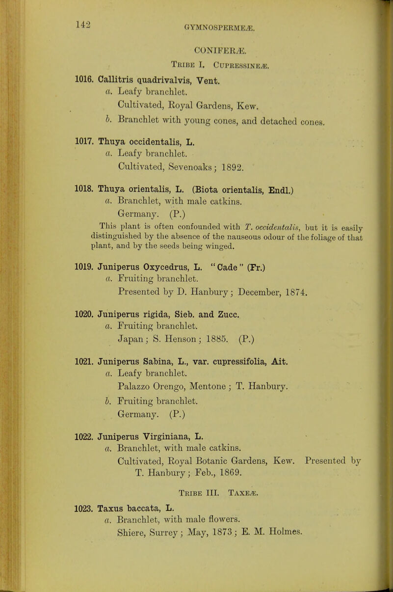 CONIFER. I;. TKIBE I. CUPItESSINEJE. 1016. Callitris quadrivalvis, Vent. ft. Leafy branchlet. Cultivated, Royal Gardens, Kew. b. Branchlet with young cones, and detached cones. 1017. Thuya occidentalis, L. ft. Leafy branchlet. Cultivated, Sevenoaks; 1892. 1018. Thuya orientalis, L. (Biota orientalis, Endl.) ft. Branchlet, with male catkins. Germany. (P.) This plant is often confounded with T. occidentalis, but it is easily distinguished by the absence of the nauseous odour of the foliage of that plant, and by the seeds being winged. 1019. Juniperus Oxycedrus, L. Cade (Fr.) ft. Fruiting branchlet. Presented by D. Hanbury; December, 1874. 1020. Juniperus rigida, Sieb. and Zucc. ft. Fruiting branchlet. Japan; S. Henson; 1885. (P.) 1021. Juniperus Sahina, L., var. cupressifolia, Ait. ft. Leafy branchlet. Palazzo Orengo, Mentone ; T. Hanbury. b. Fruiting branchlet. Germany. (P.) 1022. Juniperus Virginiana, L. ft. Branchlet, with male catkins. Cultivated, Royal Botanic Gardens, Kew. Presented by T. Hanbury; Feb., 1869. Tribe III. Taxe^e. 1023. Taxus baccata, L. ft. Branchlet, with male flowers. Shiere, Surrey; May, 1873; E. M. Holmes.