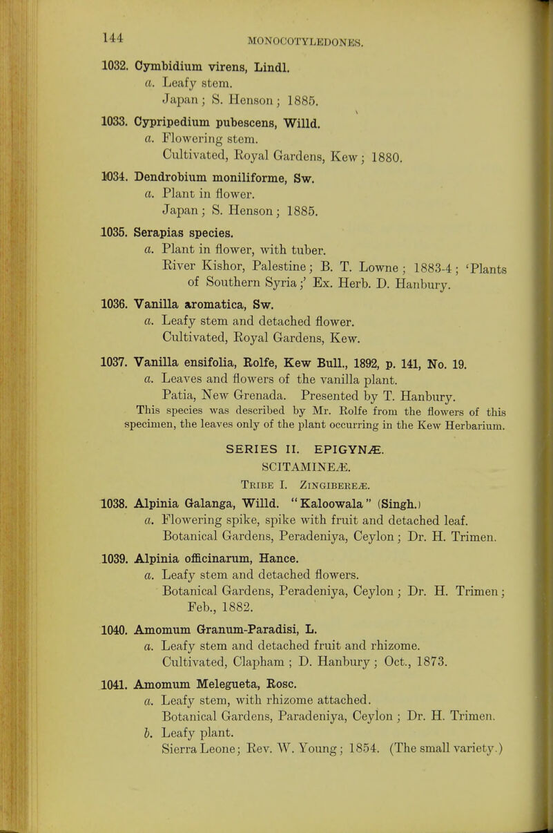 111 1032. Cymbidium virens, Lindl. a. Leafy stem. Japan; S. Henson; 1885. 1033. Cypripedium pubescens, Willd. a. Flowering stem. Cultivated, Royal Gardens, Kew; 1880. 1034. Dendrobium moniliforme, Sw. a. Plant in flower. Japan; S. Henson; 1885. 1035. Serapias species. a. Plant in flower, with tuber. Eiver Kishor, Palestine; B. T. Lowne ; 1883-4; 'Plants of Southern Syria;' Ex. Herb. D. Hanbury. 1036. Vanilla aromatica, Sw. a. Leafy stem and detached flower. Cultivated, Royal Gardens, Kew. 1037. Vanilla ensifolia, Rolfe, Kew Bull., 1892, p. 141, No. 19. a. Leaves and flowers of the vanilla plant. Patia, New Grenada. Presented by T. Hanbury. This species was described by Mr. Rolfe from the flowers of this specimen, the leaves only of the plant occurring in the Kew Herbarium. SERIES II. EPIGY1SLE. SCITAMINEiE. Tribe I. Zingibere^e. 1038. Alpinia Galanga, Willd. Kaloowala (Singh.) a. Flowering spike, spike with fruit and detached leaf. Botanical Gardens, Peradeniya, Ceylon; Dr. H. Trimen. 1039. Alpinia officinarum, Hance. co. Leafy stem and detached flowers. Botanical Gardens, Peradeniya, Ceylon ; Dr. H. Trimen; Feb., 1882. 1040. Amomum Granum-Paradisi, L. a. Leafy stem and detached fruit and rhizome. Cultivated, Clapham ; D. Hanbury; Oct., 1873. 1041. Amomum Melegueta, Rose. a. Leafy stem, with rhizome attached. Botanical Gardens, Paradeniya, Ceylon ; Dr. H. Trimen. b. Leafy plant. Sierra Leone; Rev. W.Young; 1854. (The small variety.)