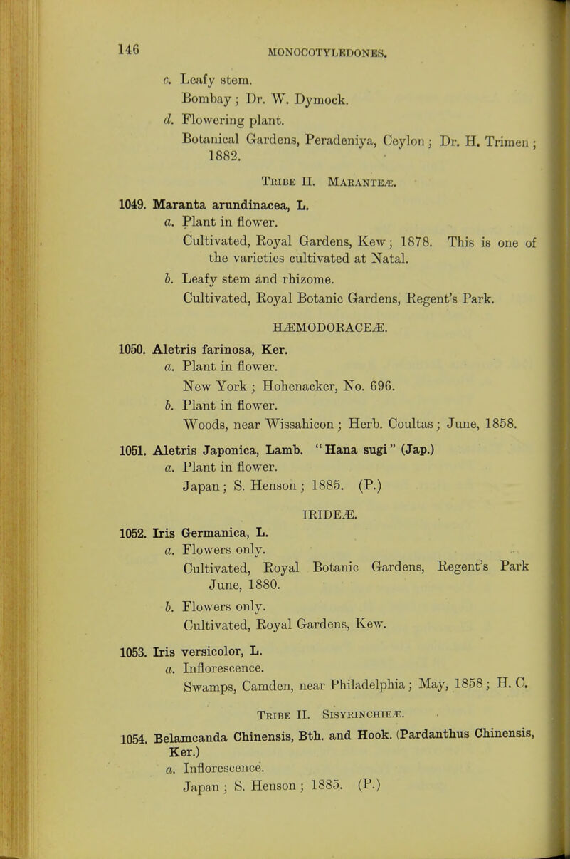 c. Leafy stem. Bombay ; Dr. W. Dymock. d. Flowering plant. Botanical Gardens, Peradeniya, Ceylon; Dr. H. Trimen • 1882. Tribe II. Marante^e. 1049. Maranta arundinacea, L. a. Plant in flower. Cultivated, Royal Gardens, Kew; 1878. This is one of the varieties cultivated at Natal. b. Leafy stem and rhizome. Cultivated, Royal Botanic Gardens, Regent's Park. ELEMODORACE.E. 1050. Aletris farinosa, Ker. a. Plant in flower. New York ; Hohenacker, No. 696. b. Plant in flower. Woods, near Wissahicon; Herb. Coultas; June, 1858. 1051. Aletris Japonica, Lamb.  Hana sugi (Jap.) a. Plant in flower. Japan; S. Henson ; 1885. (P.) IRIDEiE. 1052. Iris Germanica, L. a. Flowers only. Cultivated, Royal Botanic Gardens, Regent's Park June, 1880. b. Flowers only. Cultivated, Royal Gardens, Kew. 1053. Iris versicolor, L. a. Inflorescence. Swamps, Camden, near Philadelphia; May, 1858 • H. C. Tribe II. Sisyrinchie^e. 1054. Belamcanda Chinensis, Bth. and Hook. (Pardanthus Chinensis, Ker.) a. Inflorescence. Japan ; S. Henson j 1885. (P.)