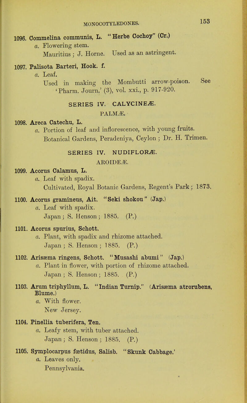 1096. Commelina communis, L.  Herbe Cochoy (Or.) a. Flowering stem. Mauritius ; J. Home. Used as an astringent. 1097. Palisota Barteri, Hook. f. a. Leaf. Used in making the Mombutti arrow-poison. See 'Pharm. Journ.' (3), vol. xxi., p. 917-920. SERIES IV. CALYCINE^. PALM.E. 1098. Areca Catechu, L. a. Portion of leaf and inflorescence, with young fruits. Botanical Gardens, Peradeniya, Ceylon ; Dr. H. Trimen. SERIES IV. NUDIFLORiE. AROIDEjE. 1099. Acorus Calamus, L. a. Leaf with spadix. Cultivated, Royal Botanic Gardens, Regent's Park; 1873. 1100. Acorus gramineus, Ait. Seki shokou (Jap.) a. Leaf with spadix. Japan; S. Henson; 1885. (P.) 1101. Acorus spurius, Schott. a. Plant, with spadix and rhizome attached. Japan ; S. Henson ; 1885. (P.) 1102. Arissema ringens, Schott. Musashi abumi (Jap.) a. Plant in flower, with portion of rhizome attached. Japan; S. Henson; 1885. (P.) 1103. Arum triphyllum, L.  Indian Turnip. (Arisaema atrorubens, Blume.) a. With flower. New Jersey. 1104. Pinellia tuberifera, Ten. a. Leafy stem, with tuber attached. Japan; S. Henson; 1885. (P.) 1105. Symplocarpus foetidus, Salisb. Skunk Cabbage.' a. Leaves only. Pennsylvania.