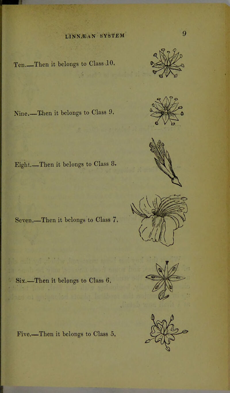 Ten Then it belongs to Class 10. Nine.—Tiien it belongs to Class 9. Eight.—Then it belongs to Class 8. Seven.—Then it belongs to Class 7. Six.—Then it belongs to Class 6.